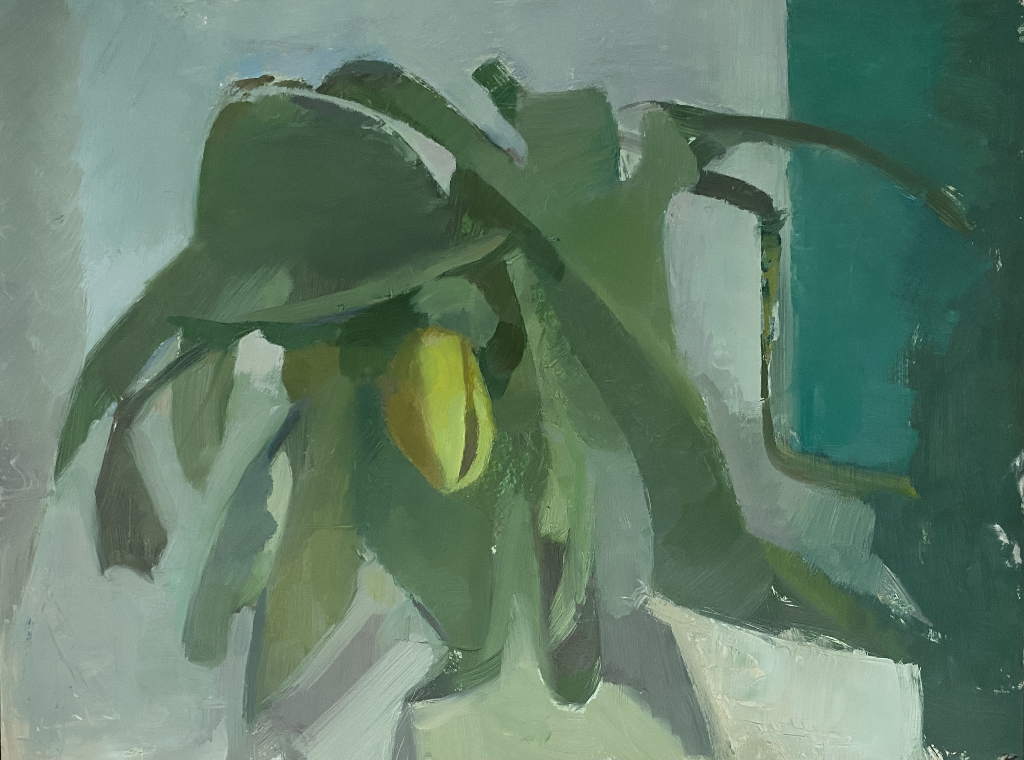 Clare Haward, Tulips, 2020