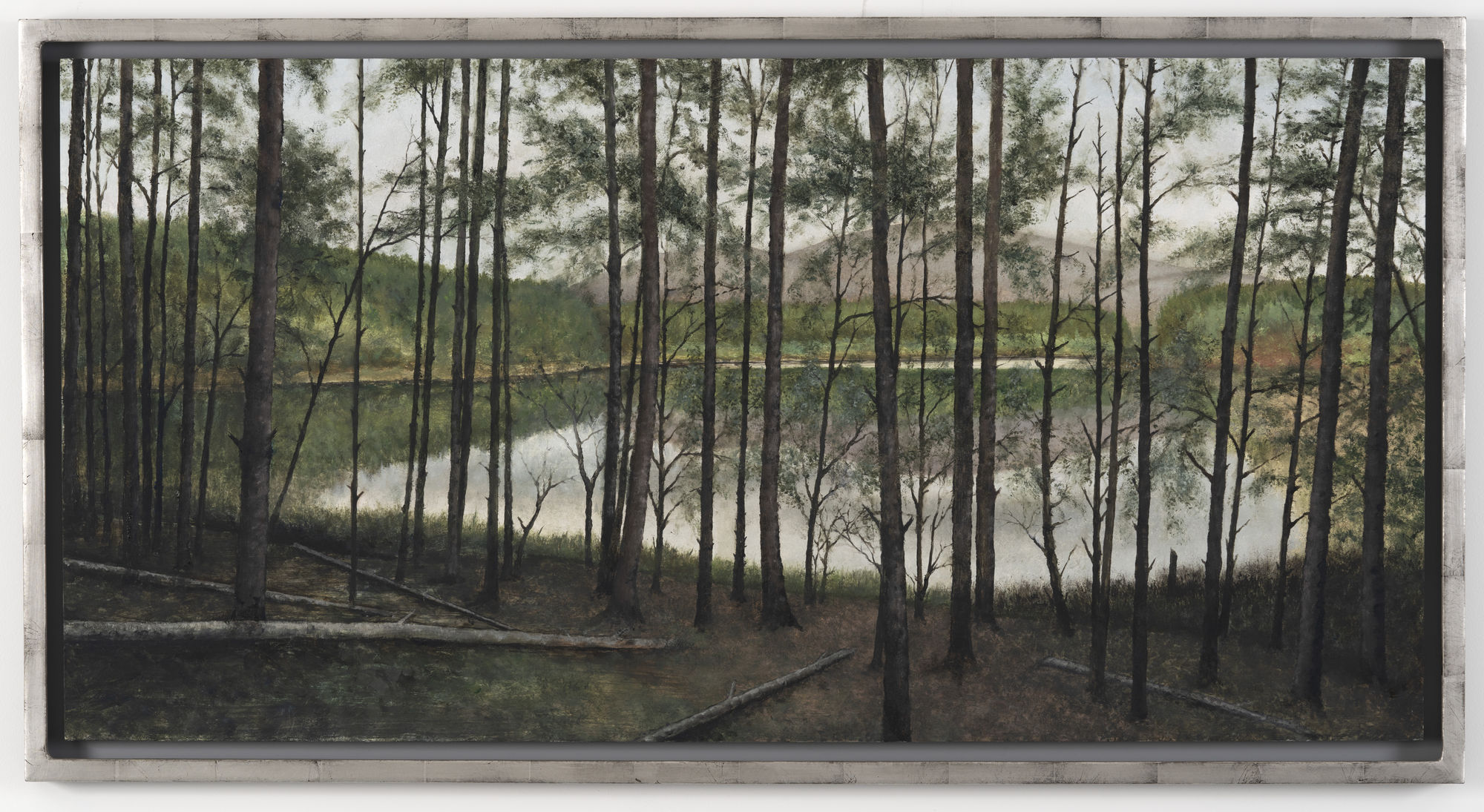 Donald Provan, Looking Through