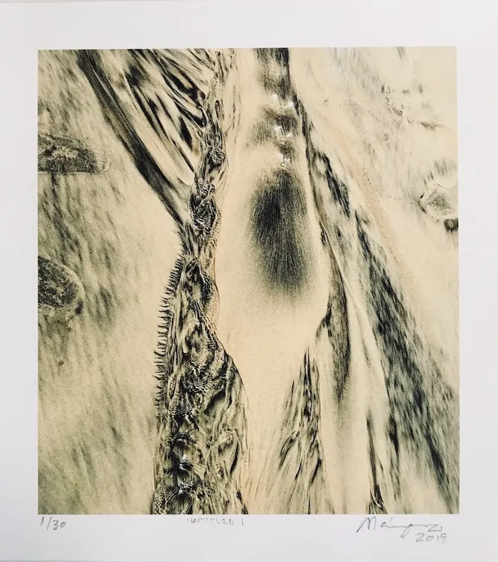 pablo marquez, columna, 2018