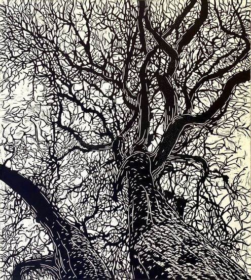 Fernando Reyes, Winter Oak, 2020