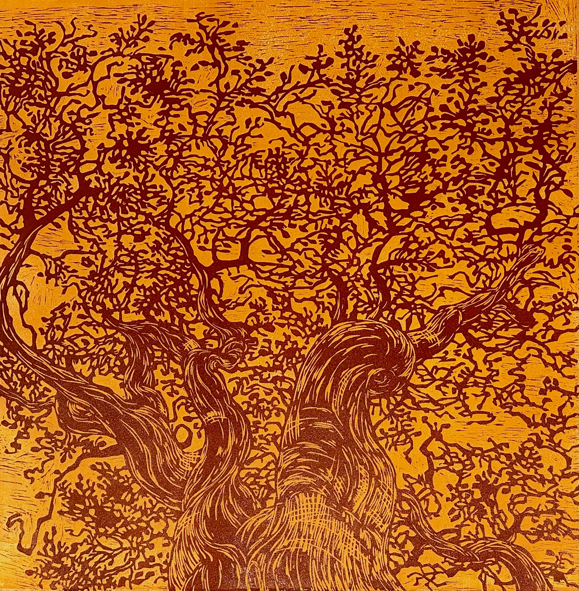 Fernando Reyes, Manzanita Magnificent Ochre, 2024