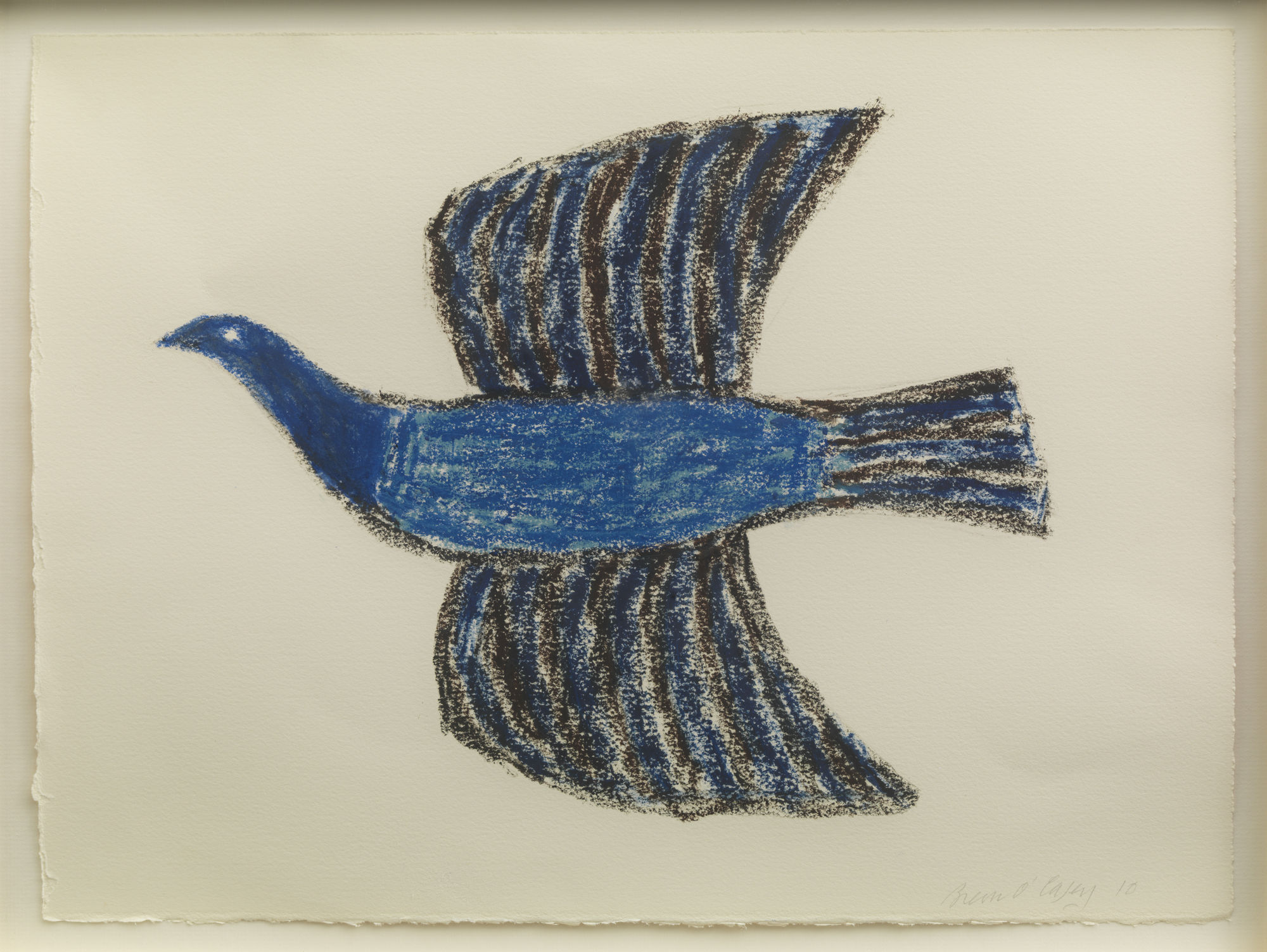 Breon O'Casey, Blue Bird, 2010