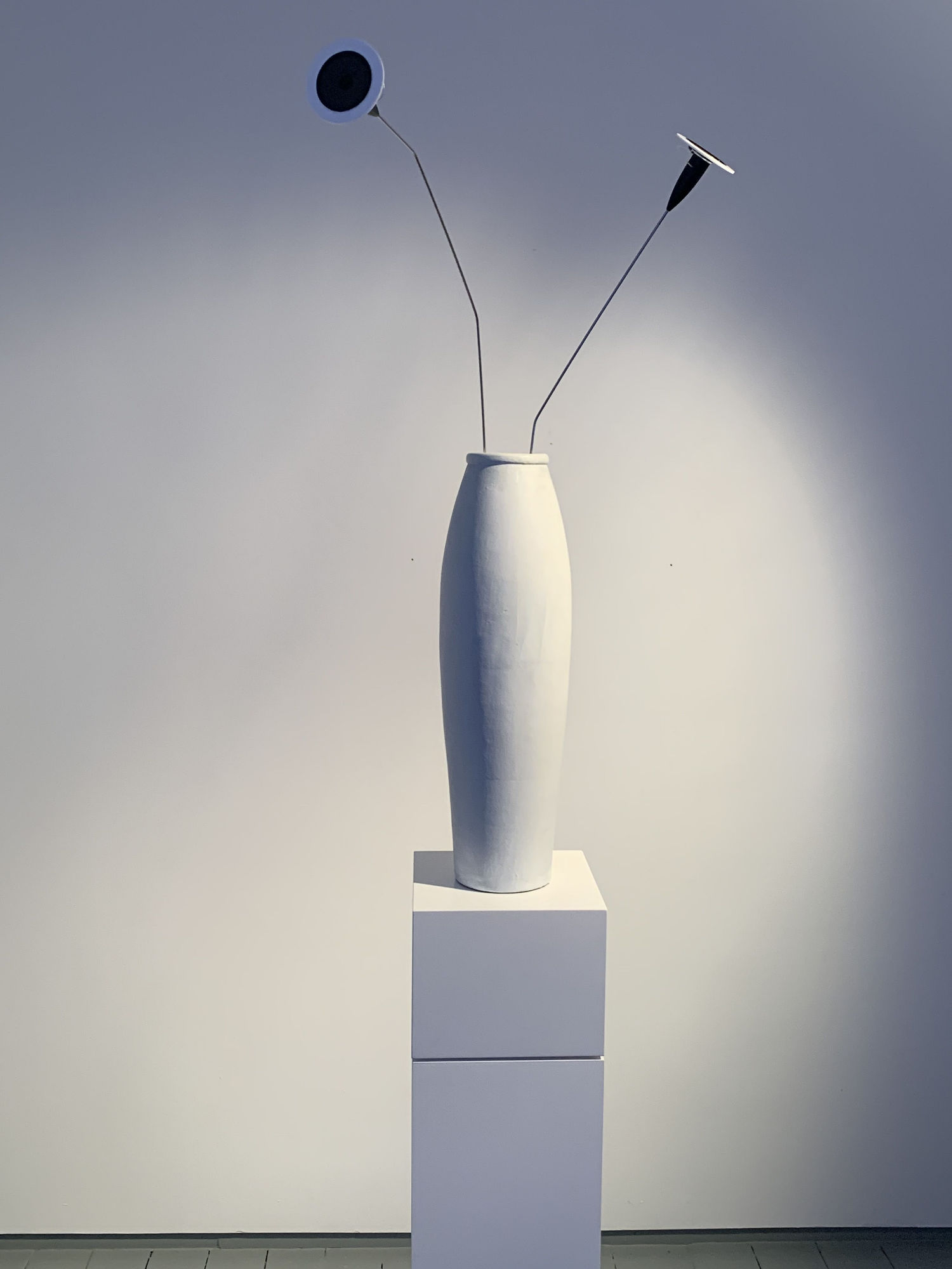 Brian Eno, Malva, 2020