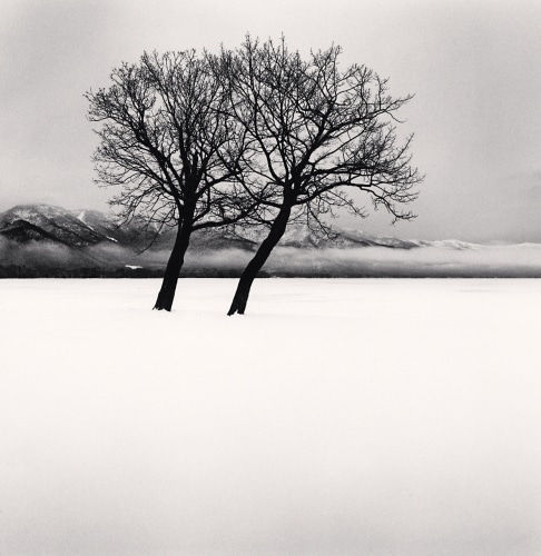 Michael Kenna, Dancing Trees, Kussharo Lake, Hokkaido, Japan., 2020