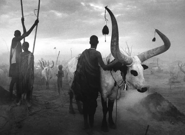 Sebastião Salgado, Dinka group at Pagarau cattle camp, Southern Sudan, Africa, 2006