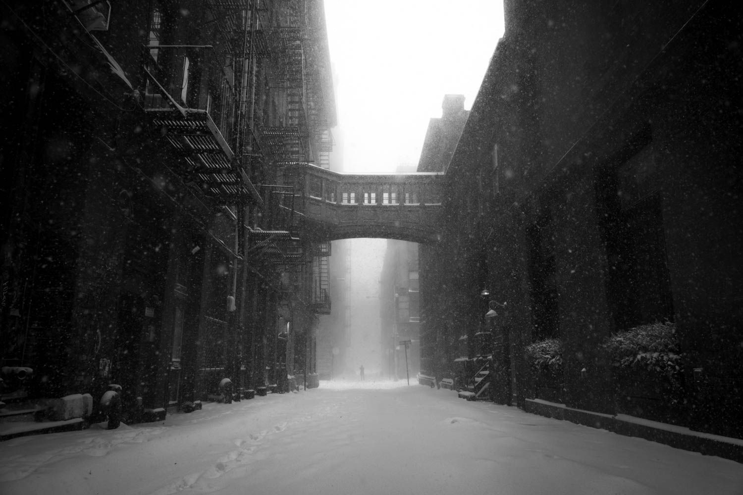 PHIL PENMAN, Tribeca Snowstorm, 2019