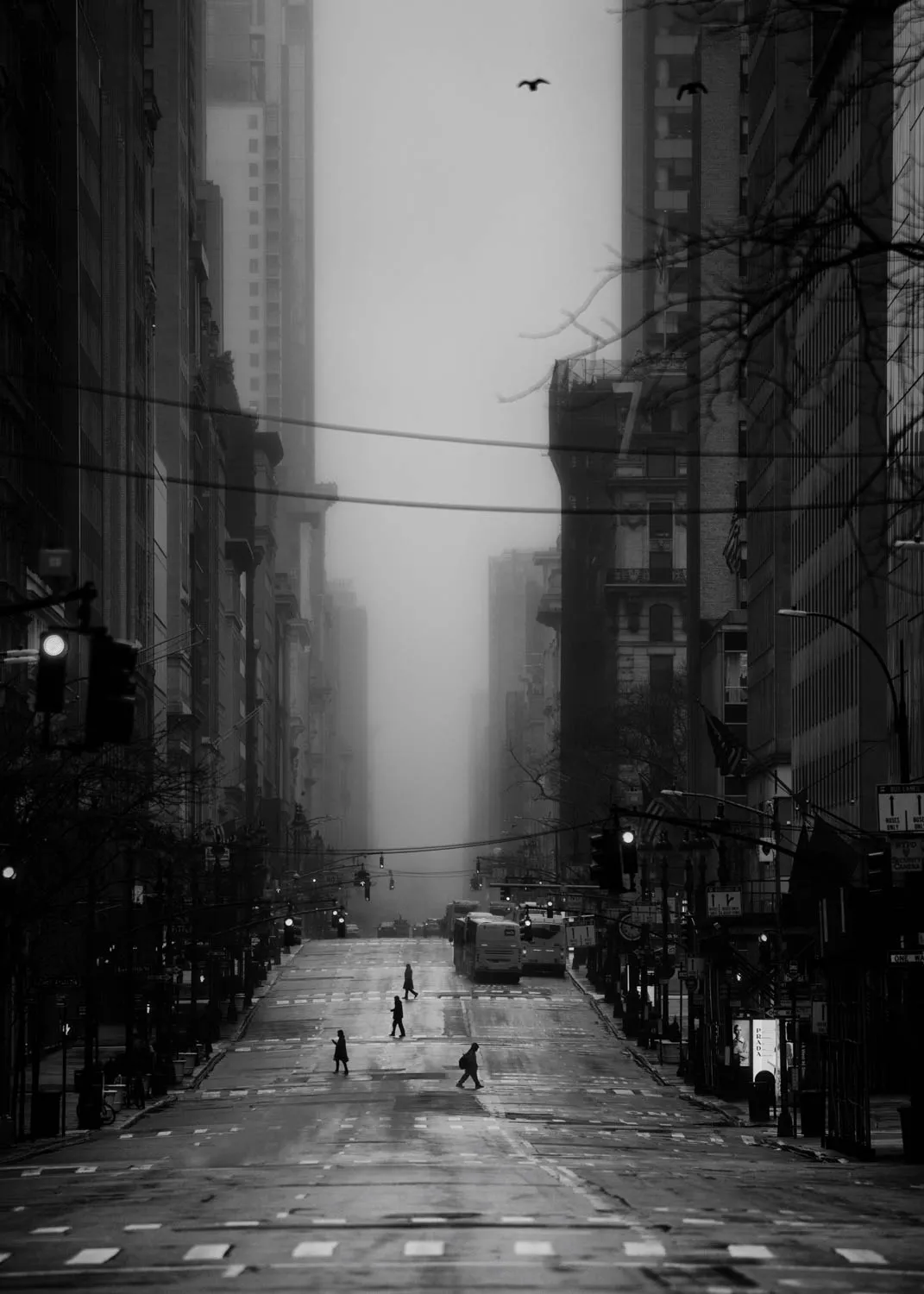 PHIL PENMAN, 5th Avenue , New York, 2020