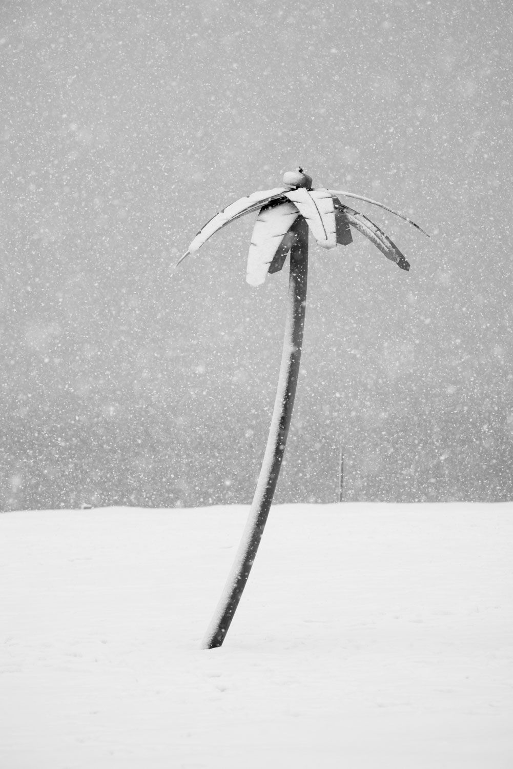 PHIL PENMAN, Coney Island Storm #5, 2021