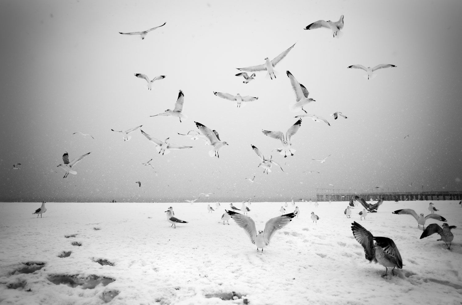 PHIL PENMAN, Coney Island Storm #4, 2021