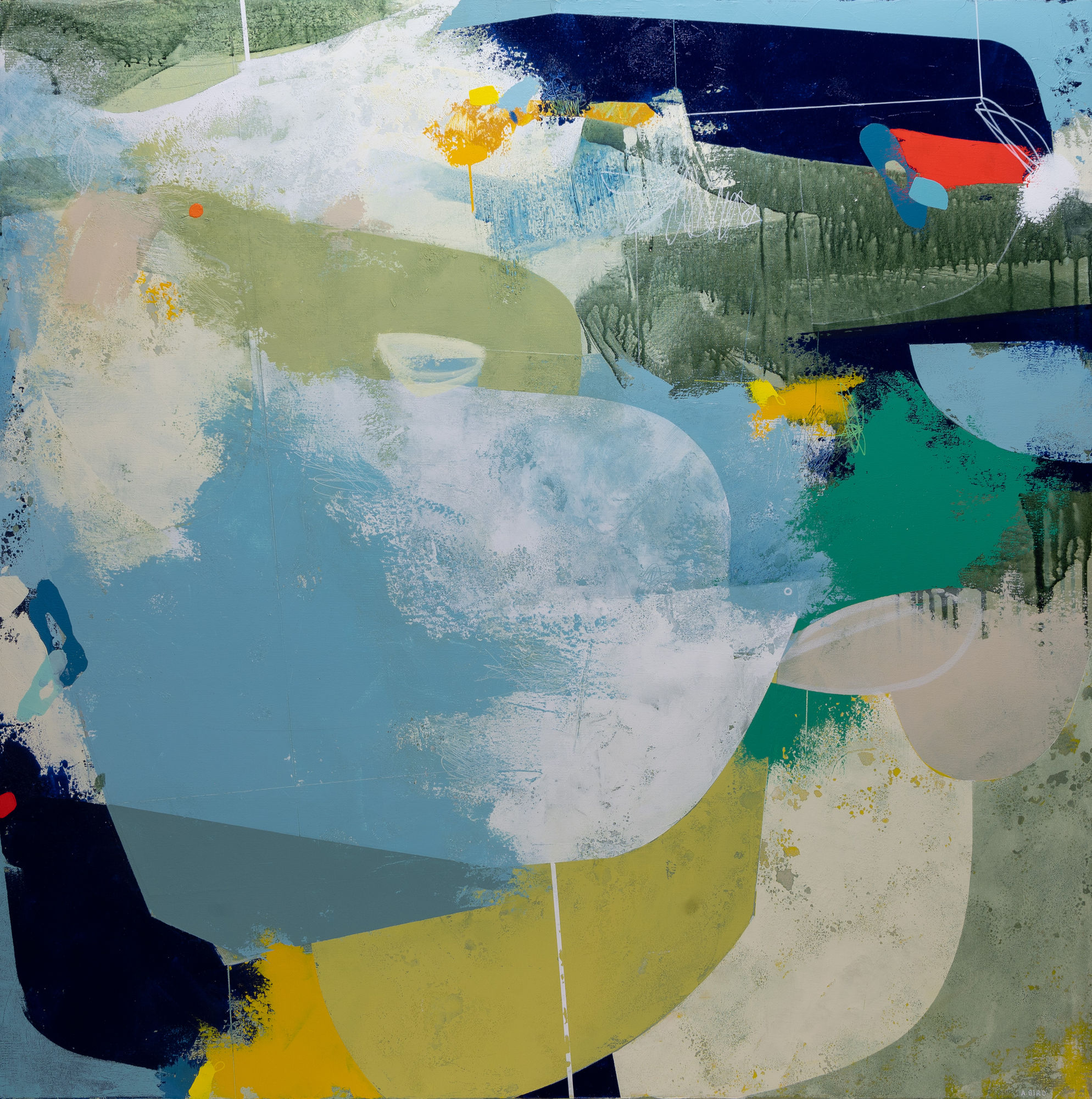 Andrew Bird, Elevation, 2021