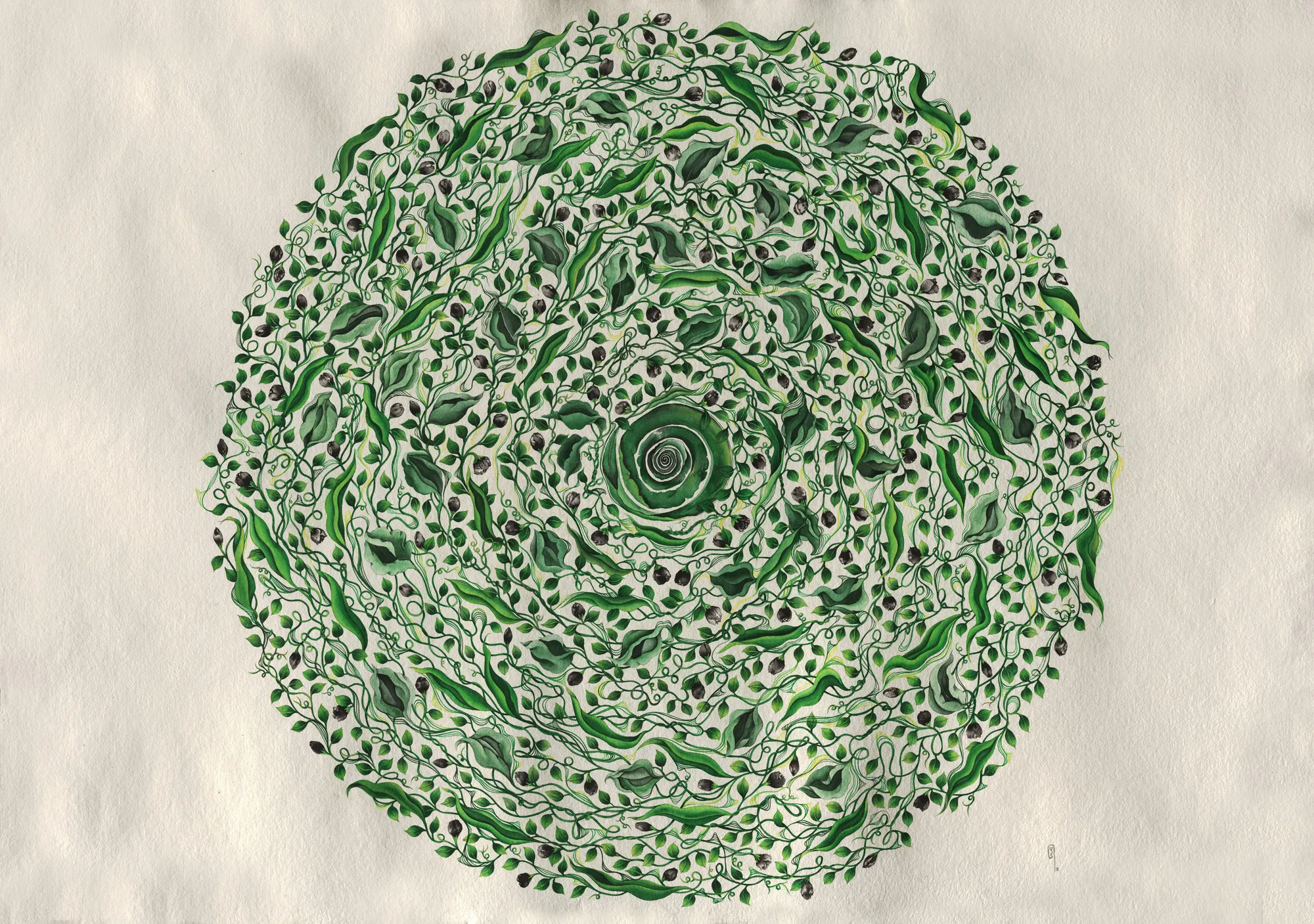 Yuri Shimojo, Vine 9/10, 2021