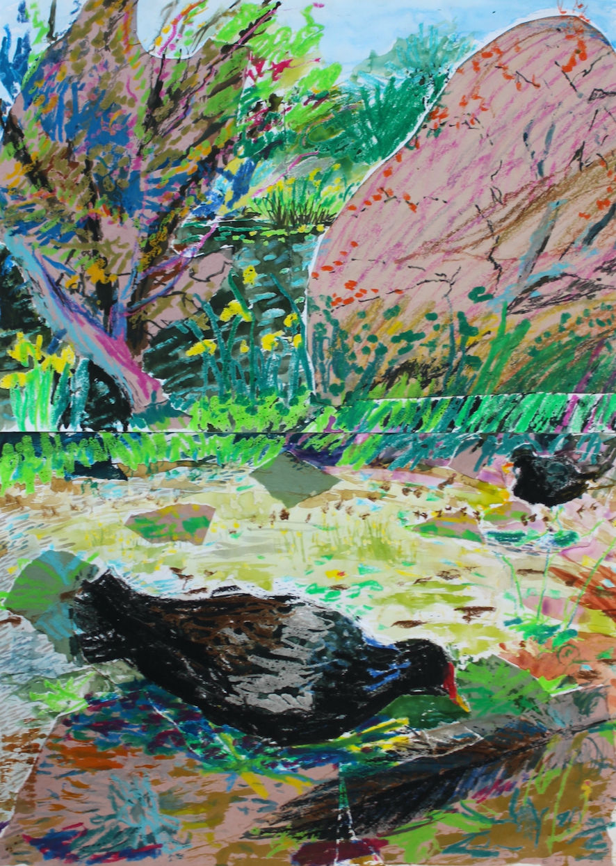 Eddie Howard, Moorhen at Kew, 2024