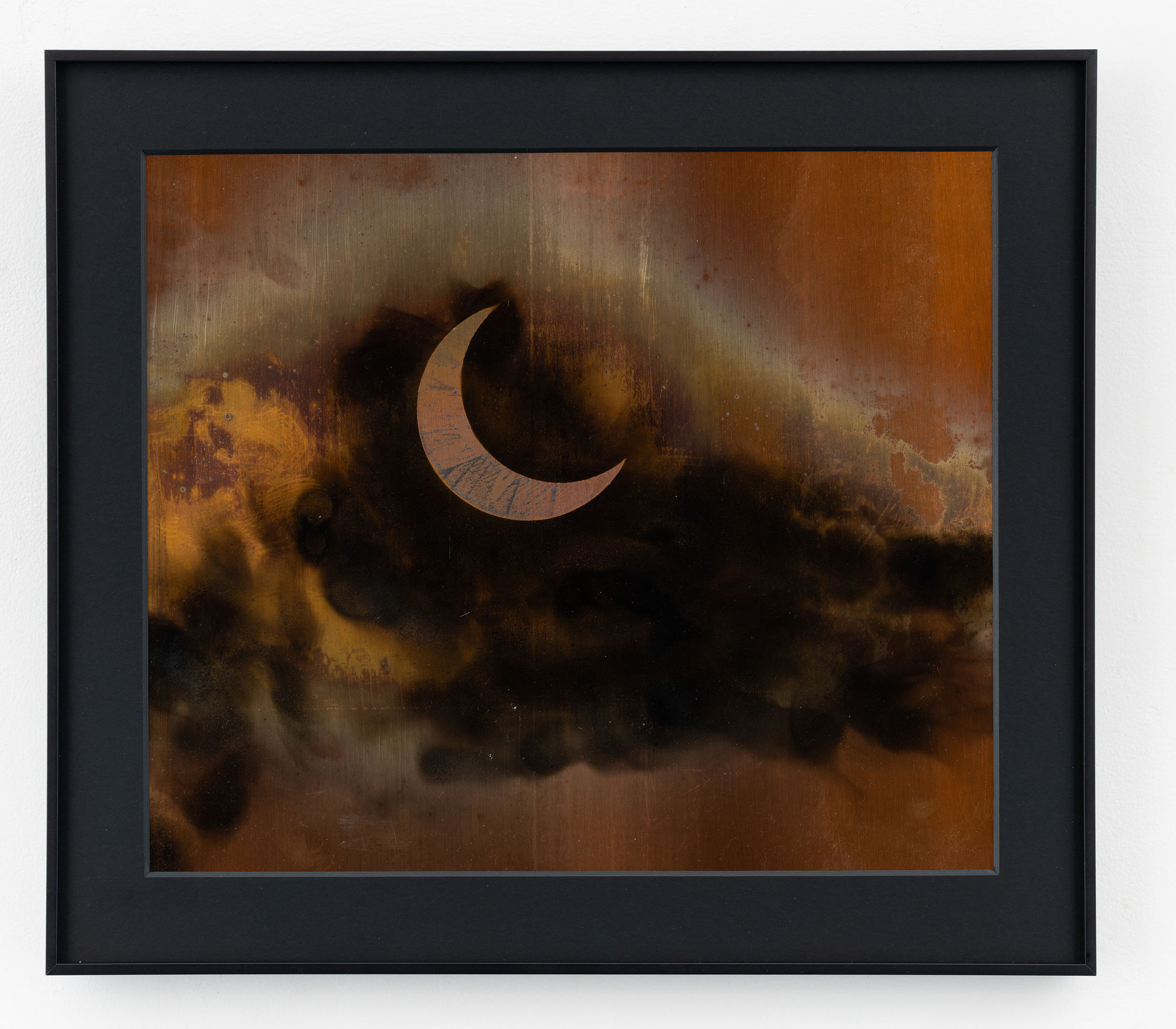 Rohini Devasher, Shadow Portrait 7, 2024