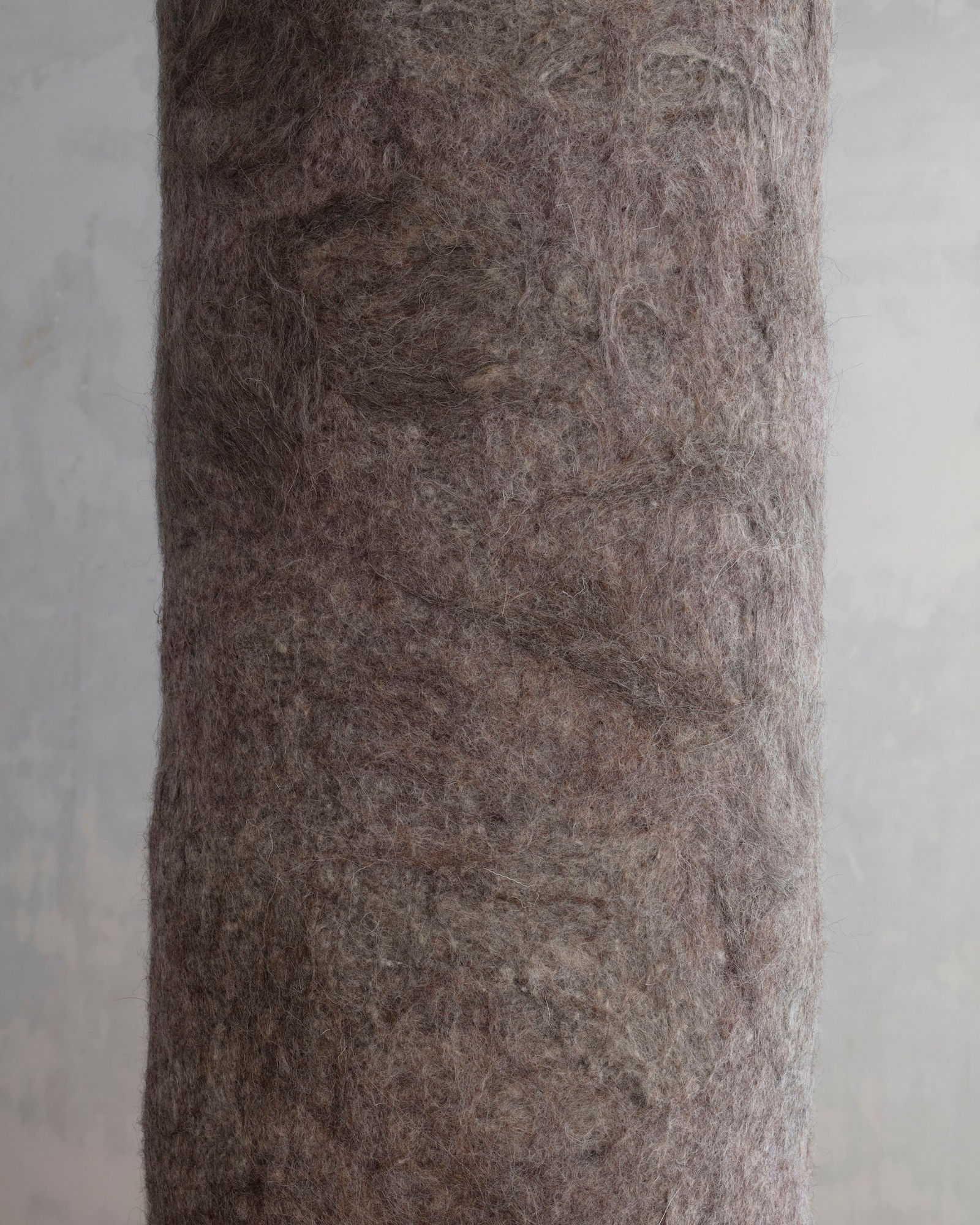 Manuela García, Columna, 2024