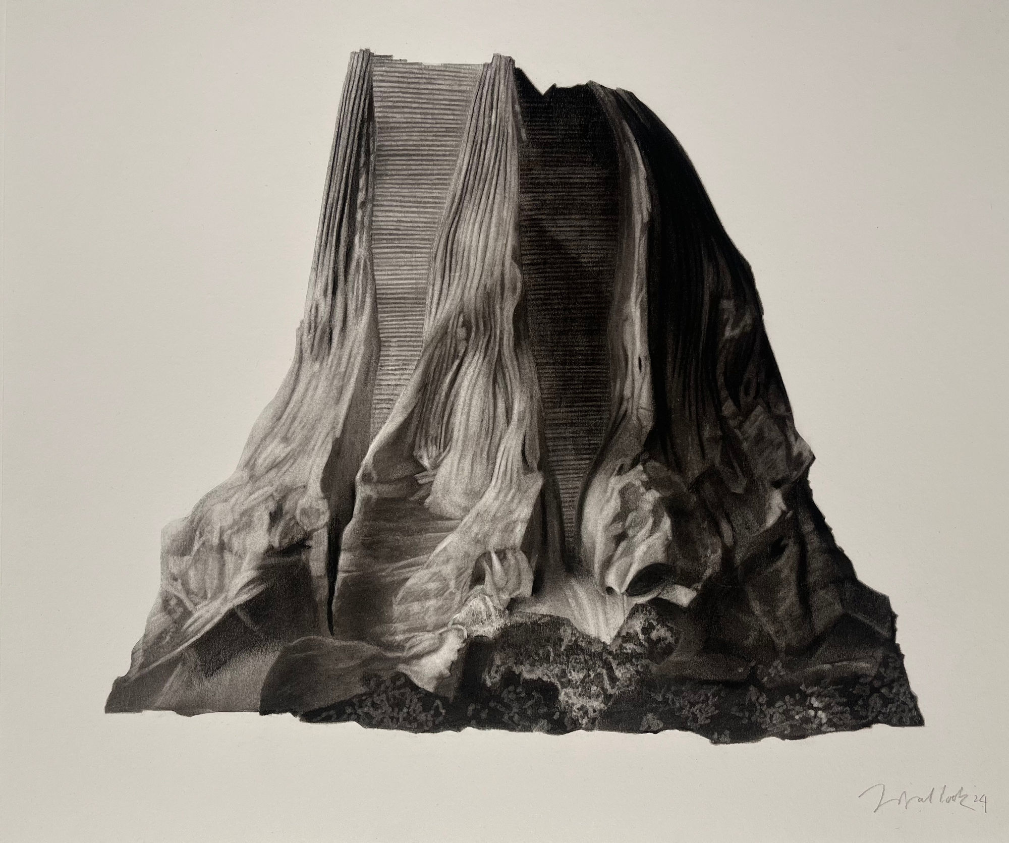 Jonathan Delafield Cook, Barnacle II, 2024