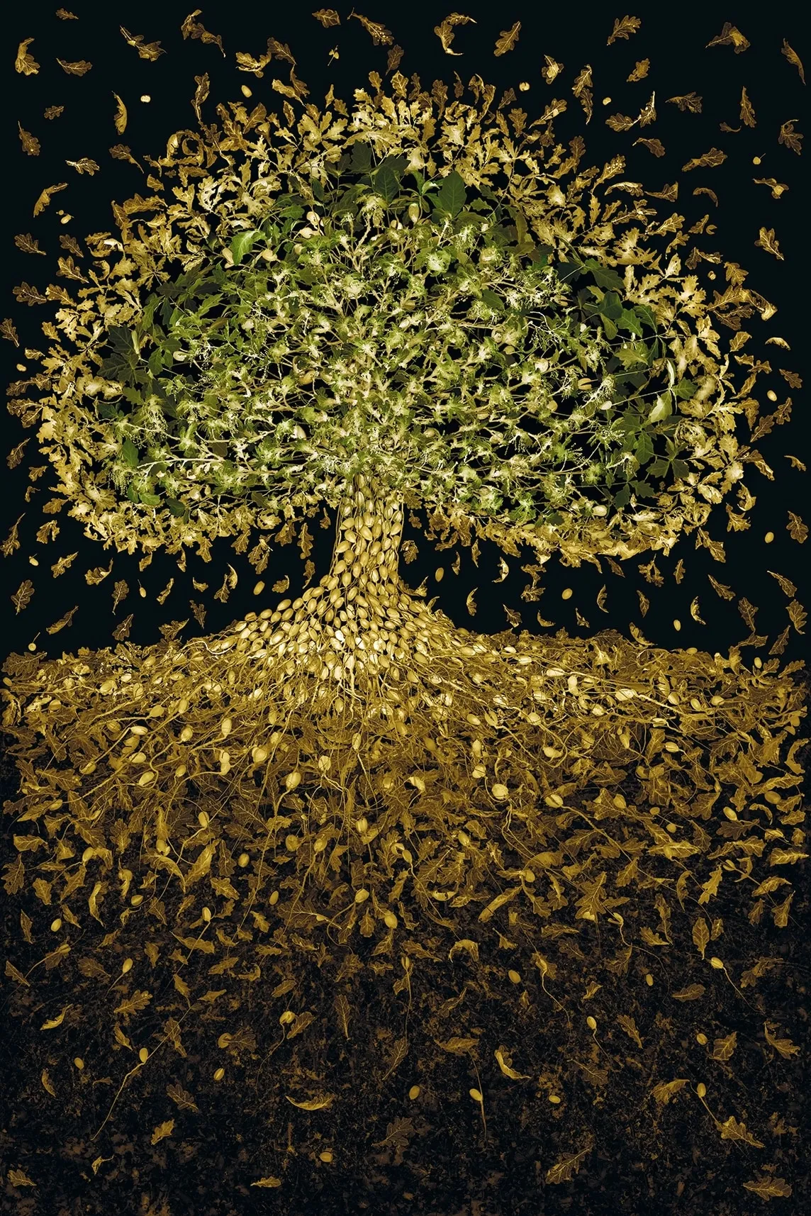 Susan Derges, Many Seasons, 2023