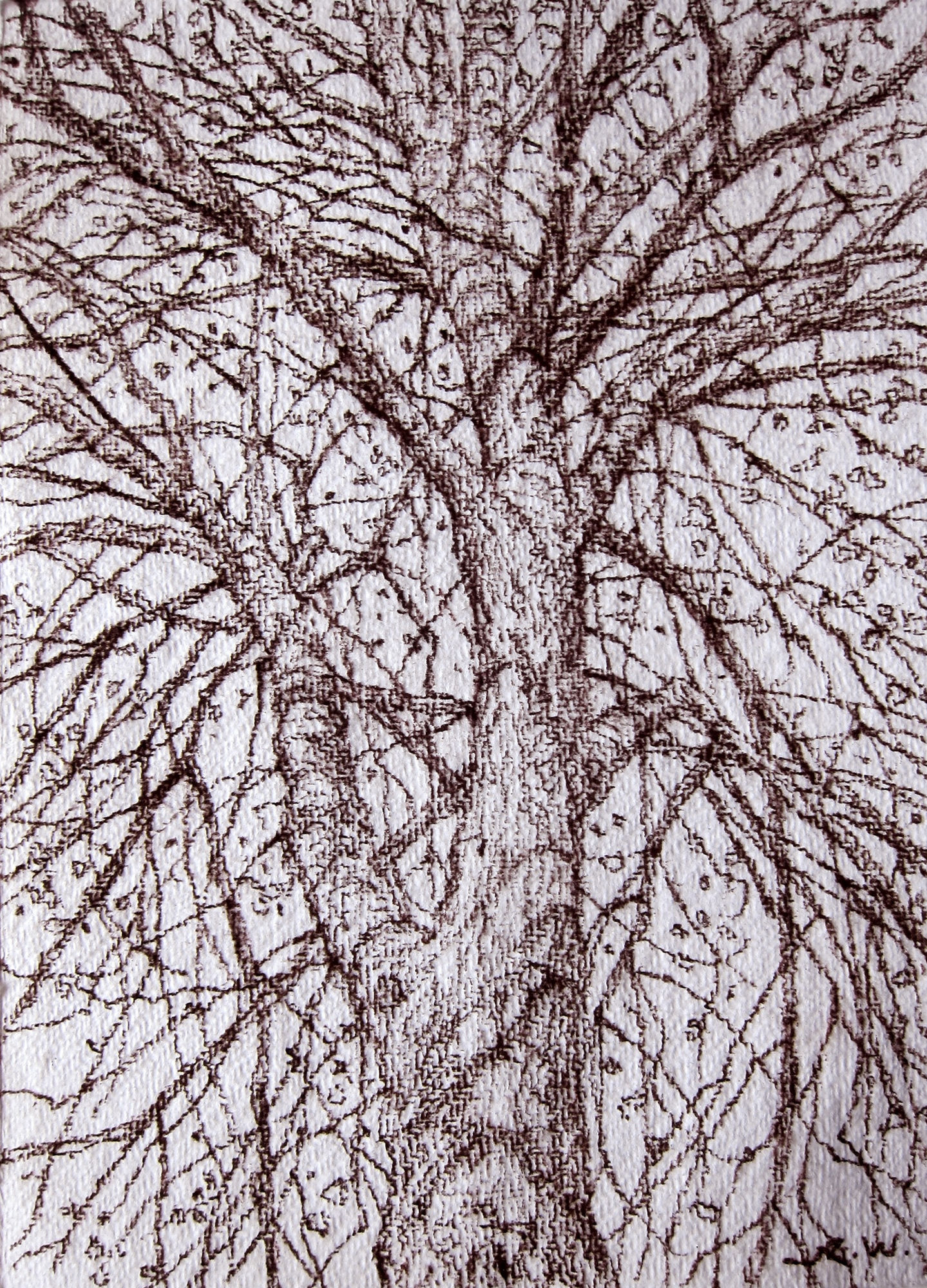 Roy Wright, Spring, 2015