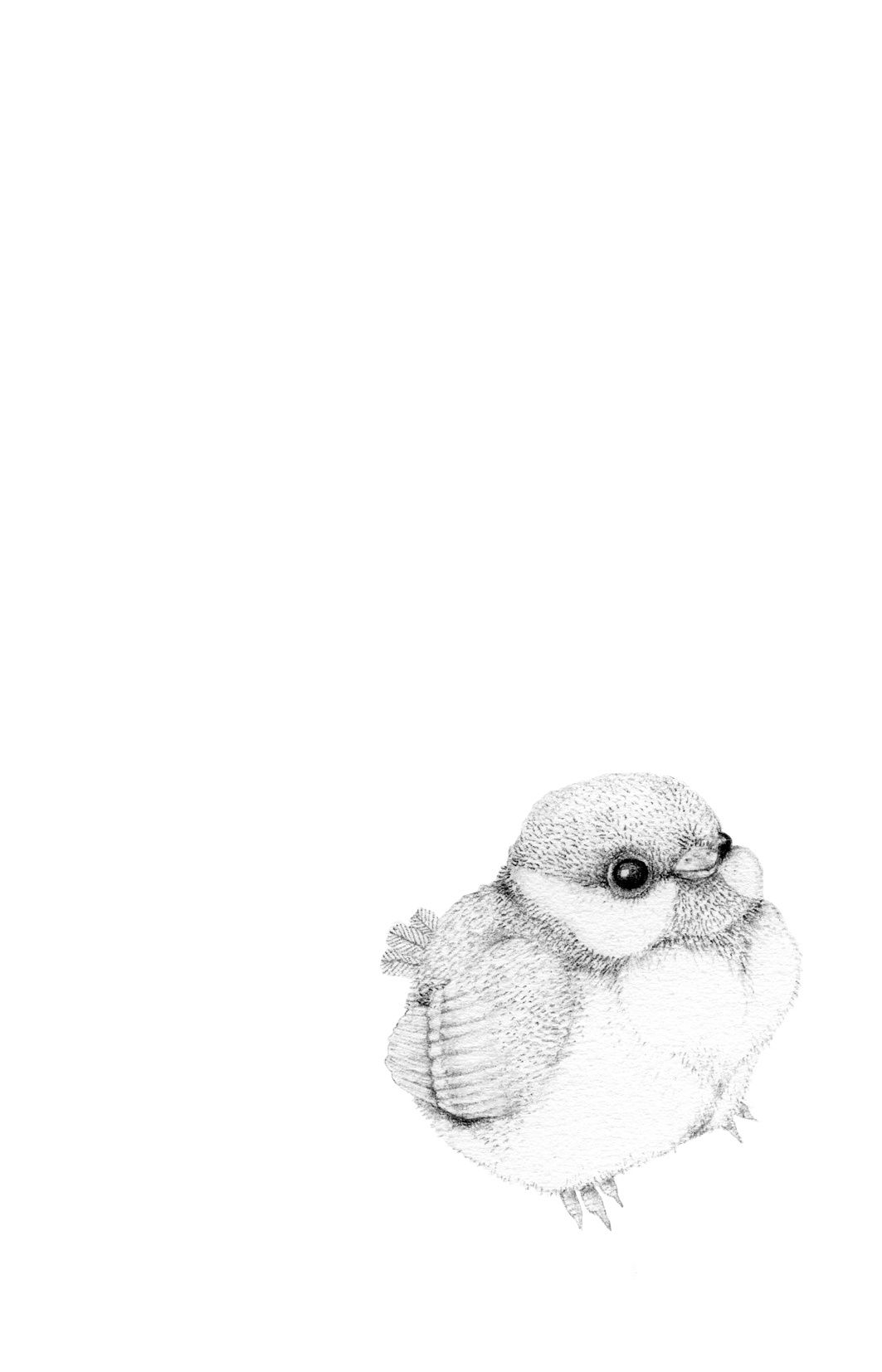 Jackie Case, Please Love Me, 2014