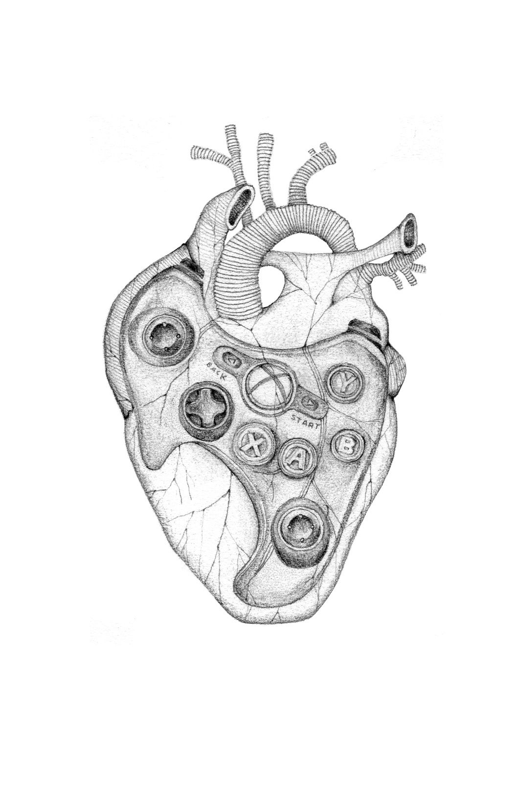 Jackie Case, My True Heart, 2014