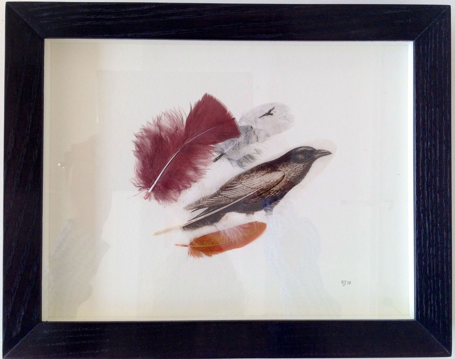 Rebecca Jewell, Raven Feathers, 2014