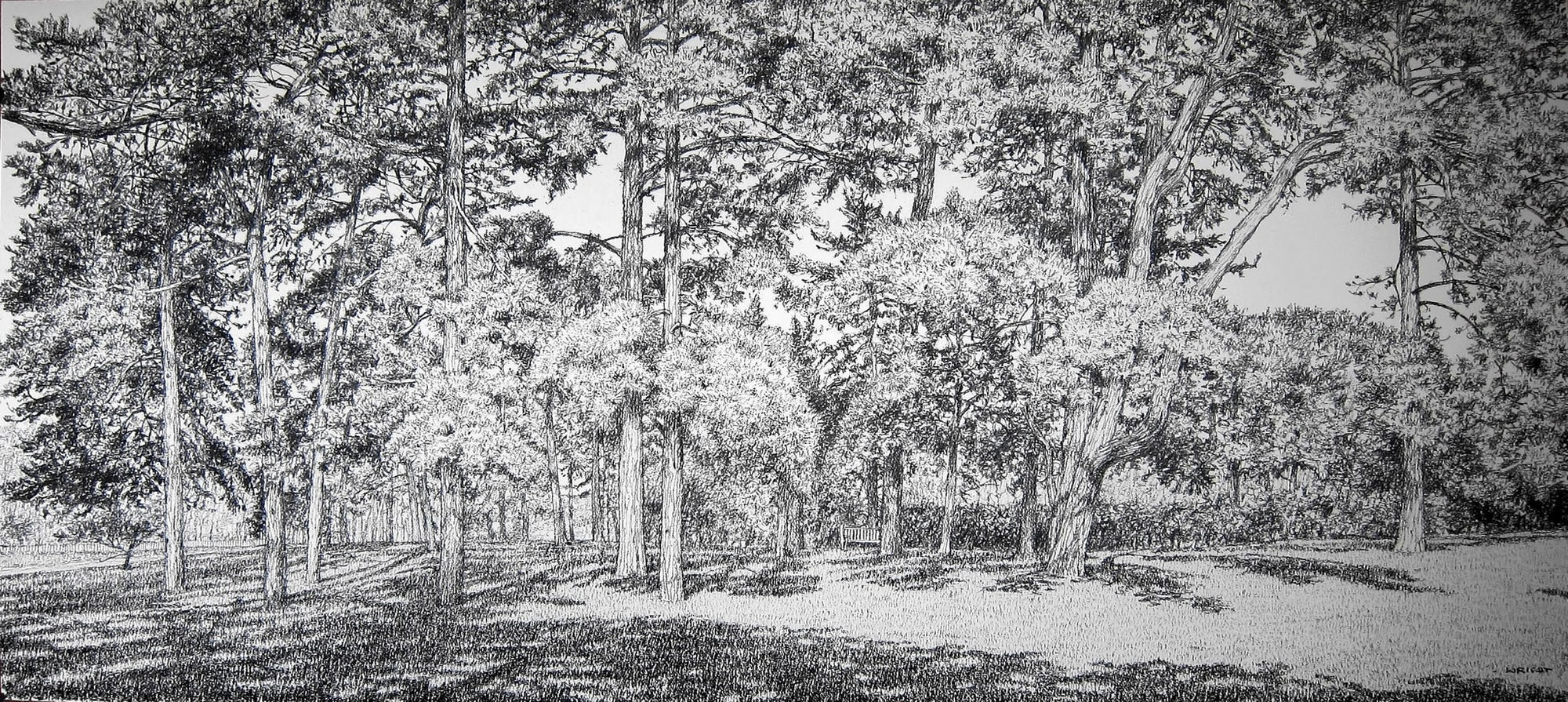 Roy Wright, In the Pines (Kew Gardens), 2016