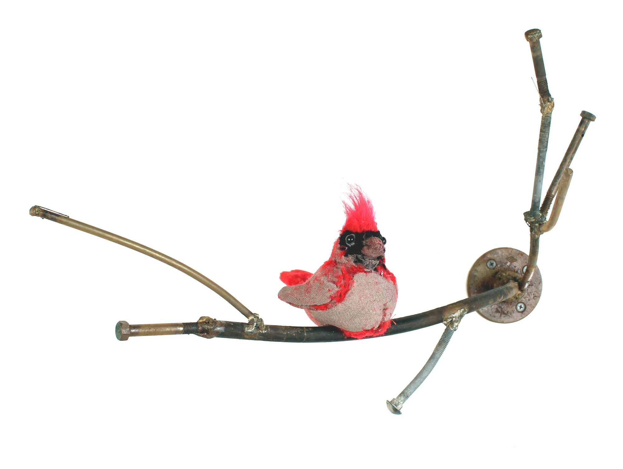 Ross Bonfanti, Perched 12, 2015