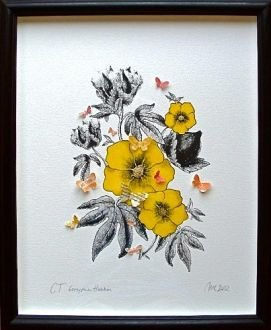 Maria Clemen, Gossypium Hirsutum, 2012