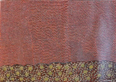 Nancy Mcdinny, Honey bee (warjilli), 2011