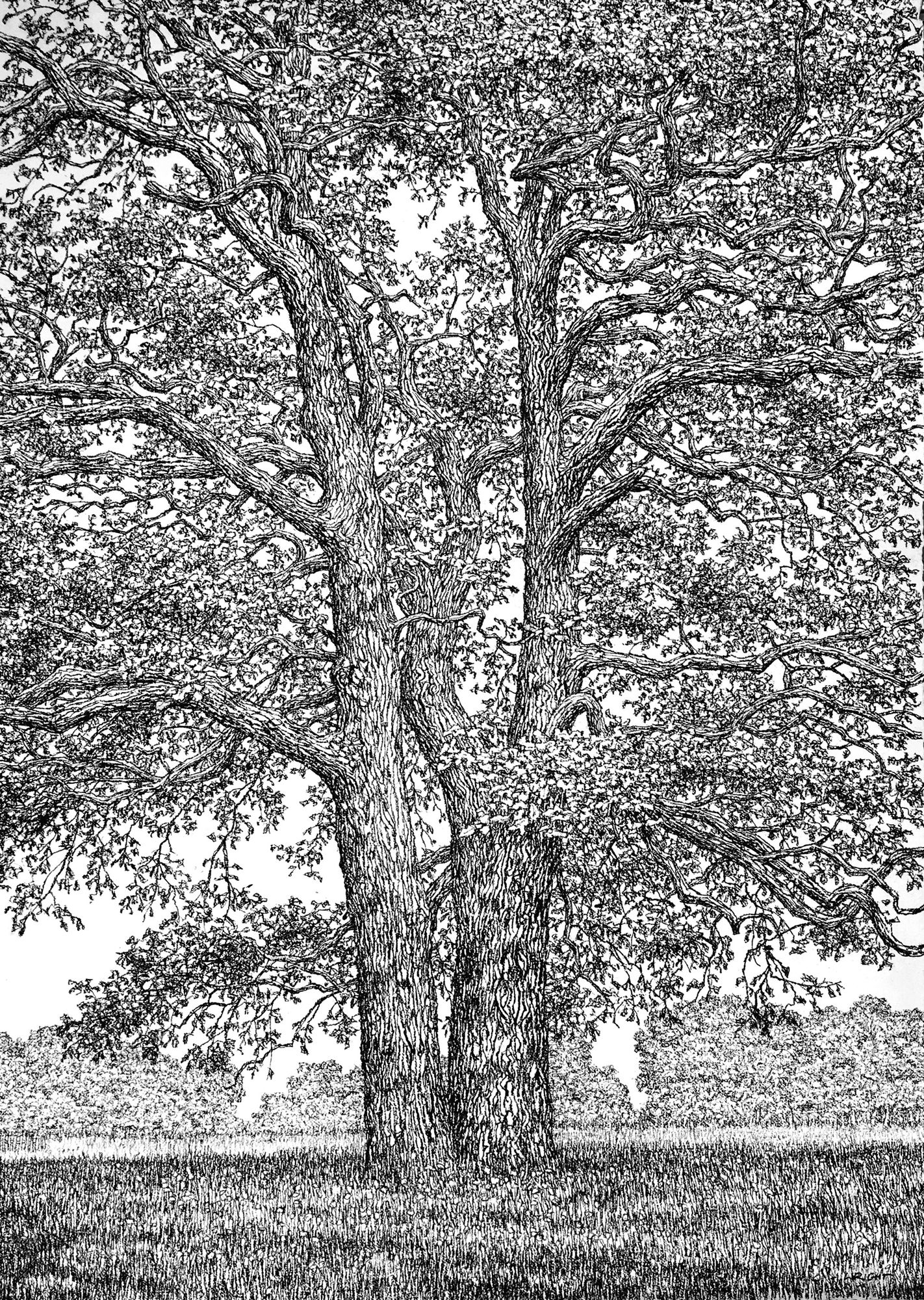 Roy Wright, In the Shade of the Tall Oaks , 2021