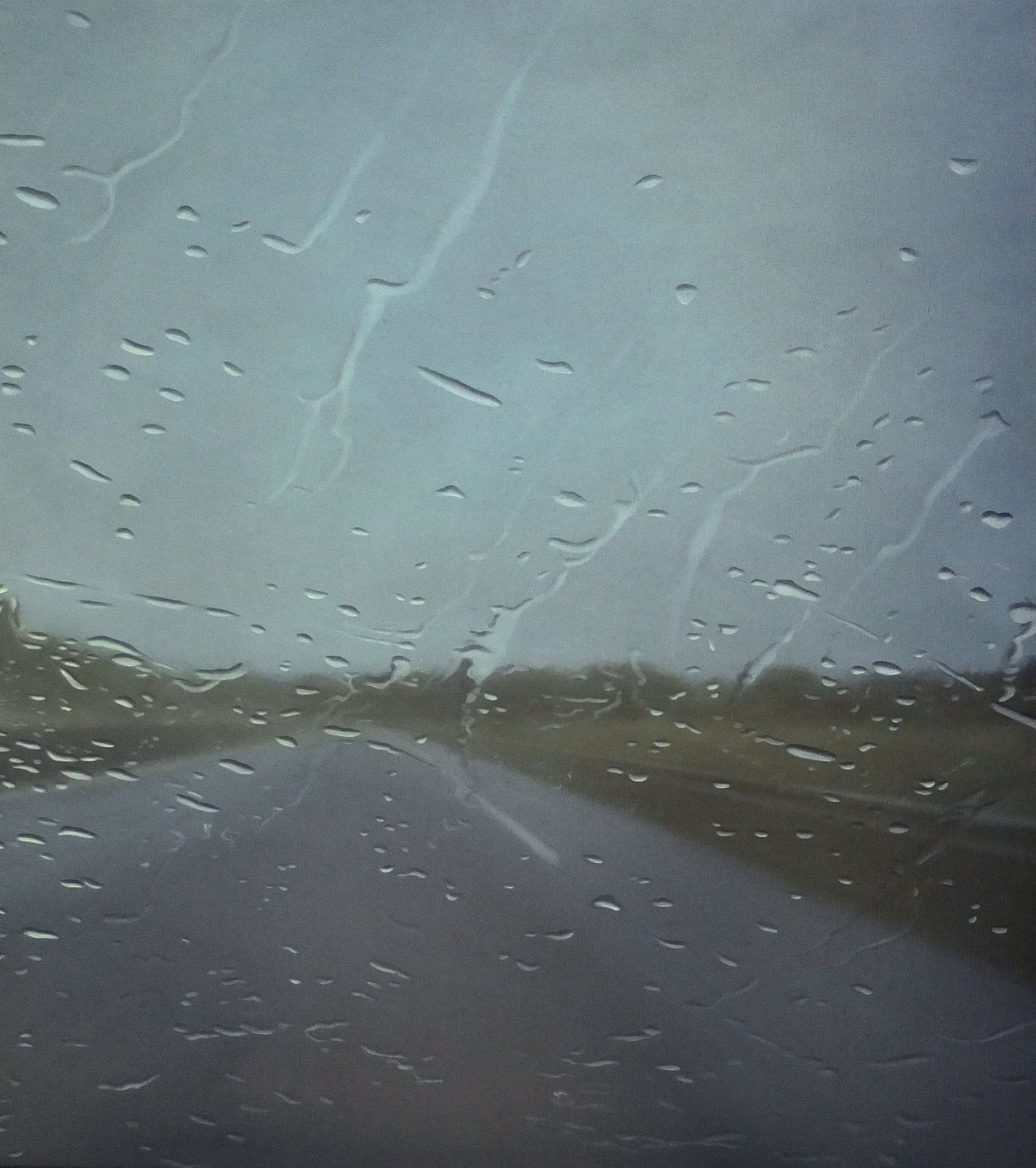 Esther Nienhuis, Saudade 58, 2016