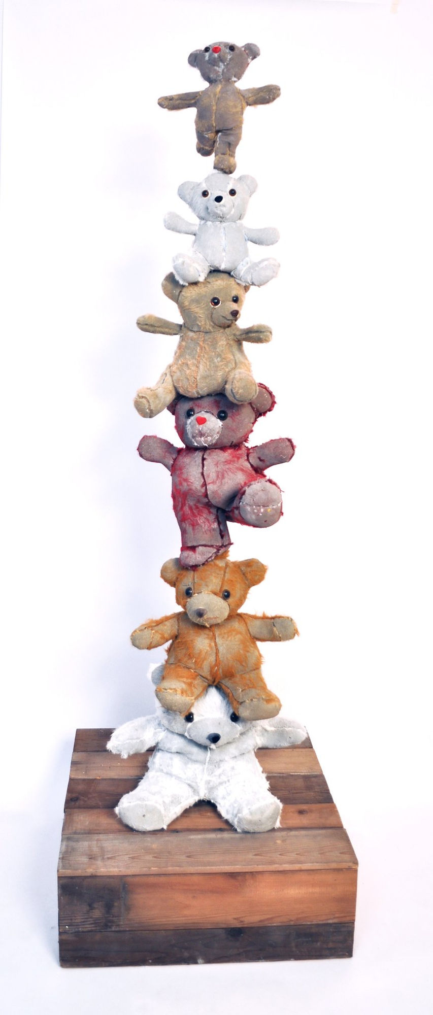 Ross Bonfanti, Teddy Tower, 2013