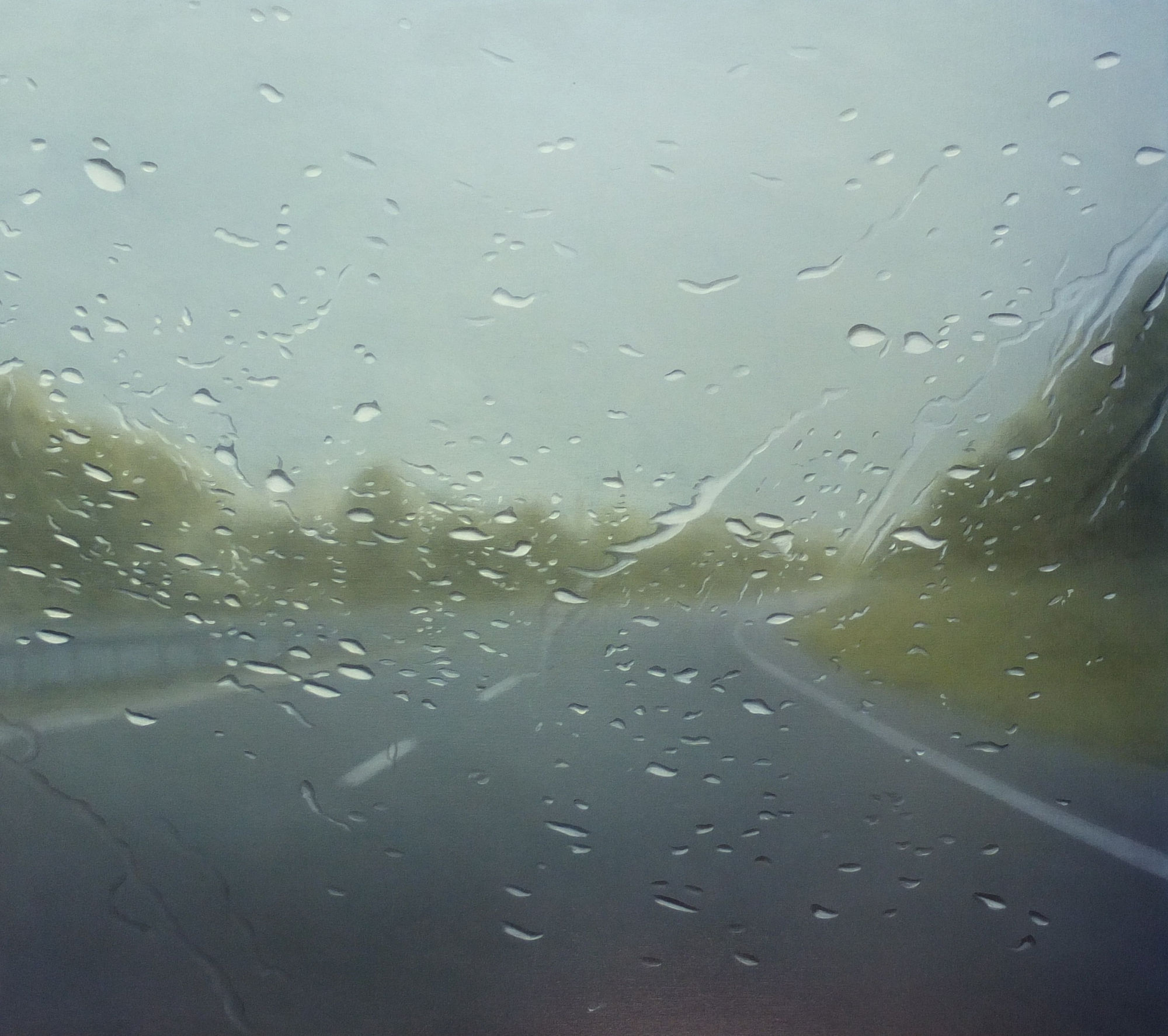 Esther Nienhuis, Saudade 57, 2016