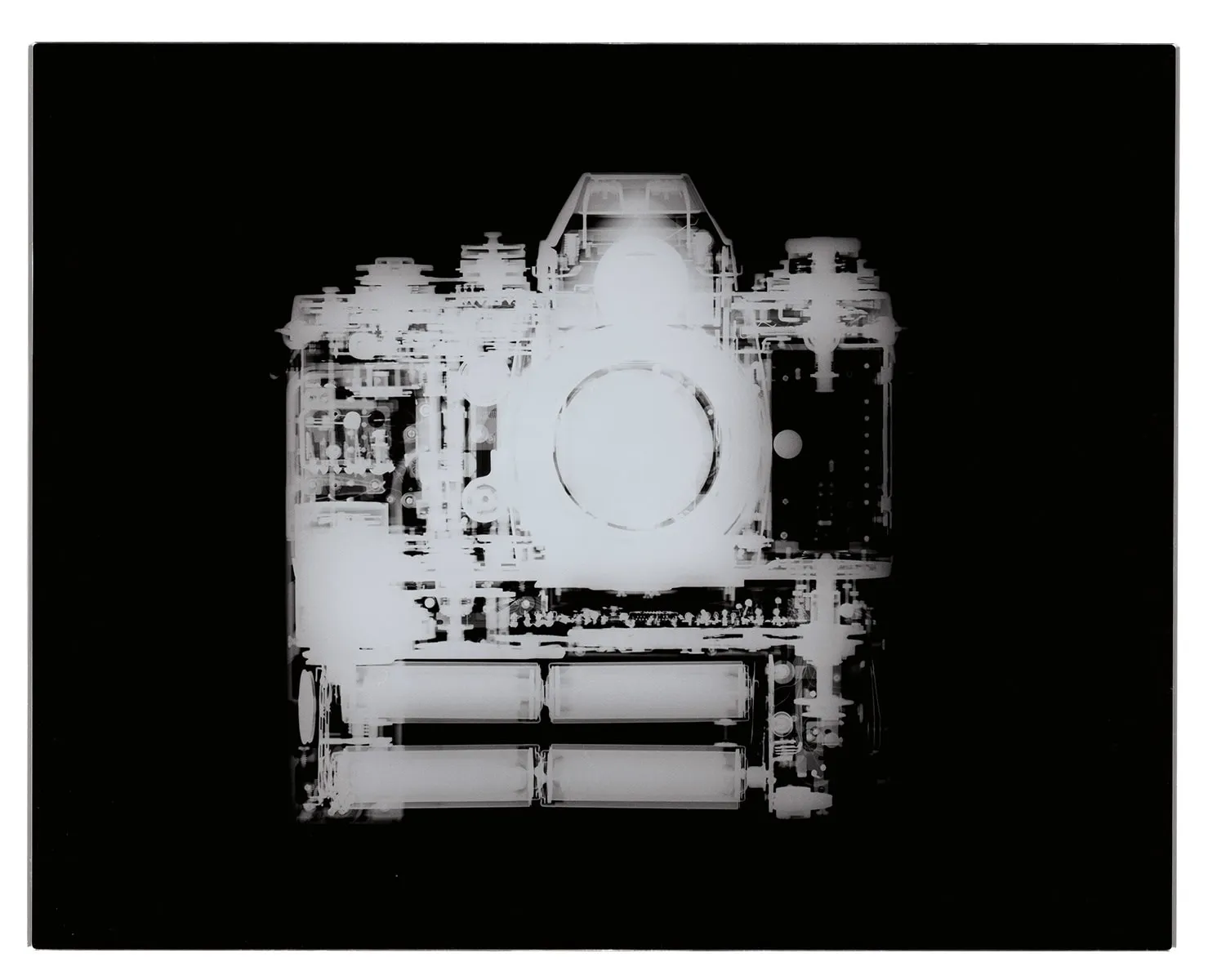 Rob and Nick Carter, Nikon F3 X-ray, 2012