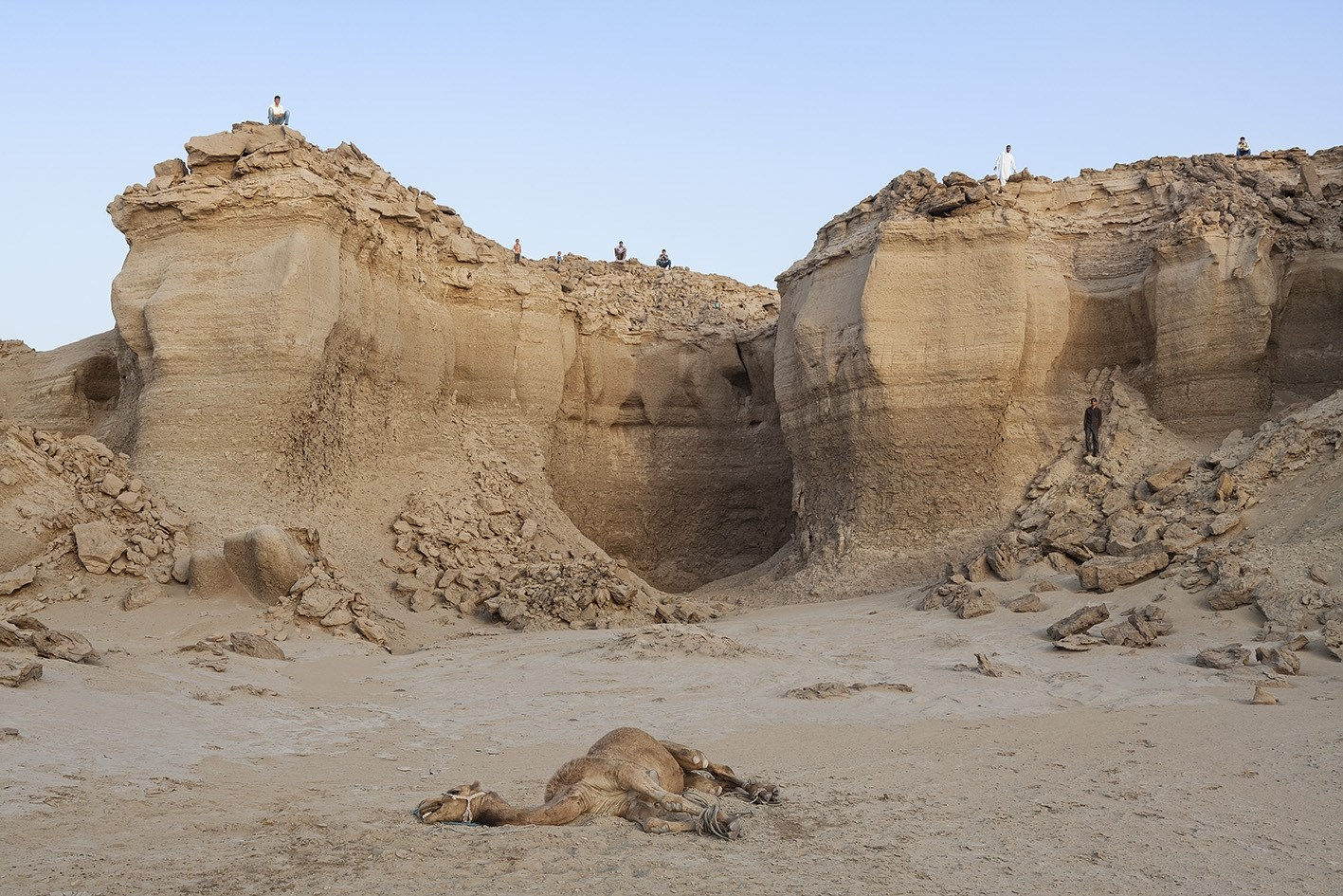 Gohar Dashti, Stateless (Camel), 2015