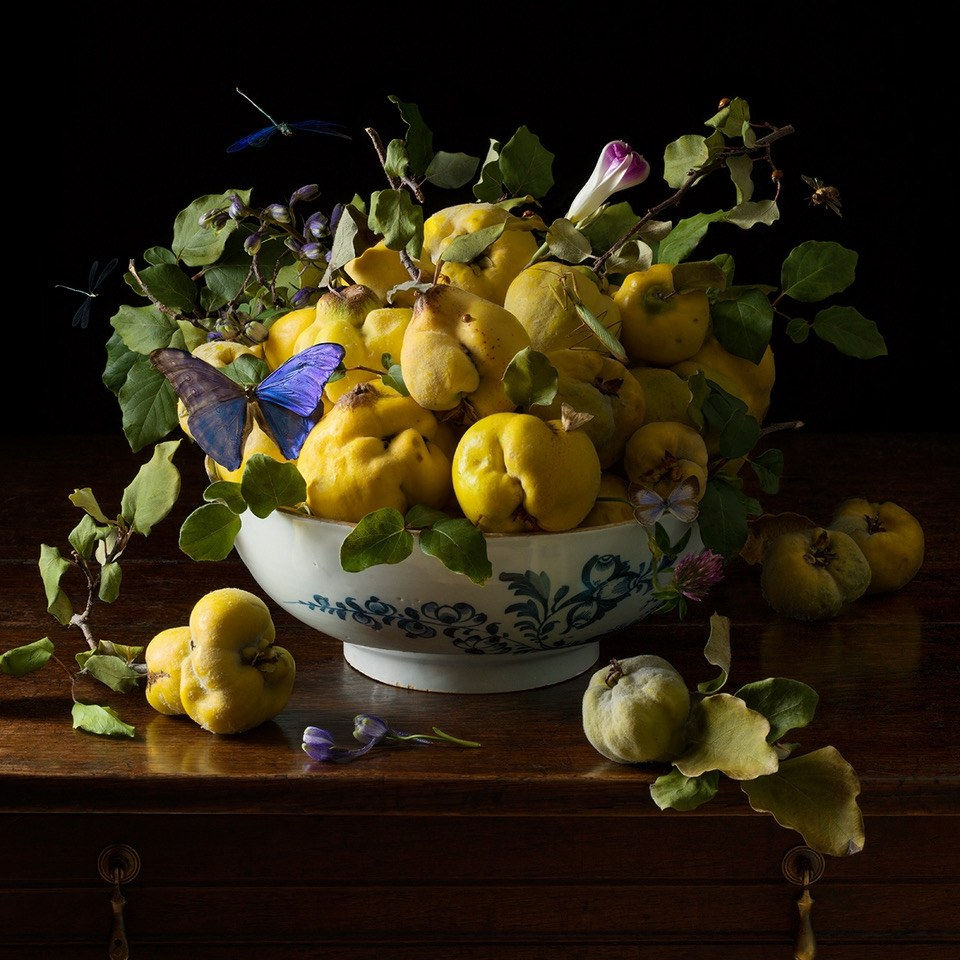 Paulette Tavormina, Quince and the Lady Bug, 2021