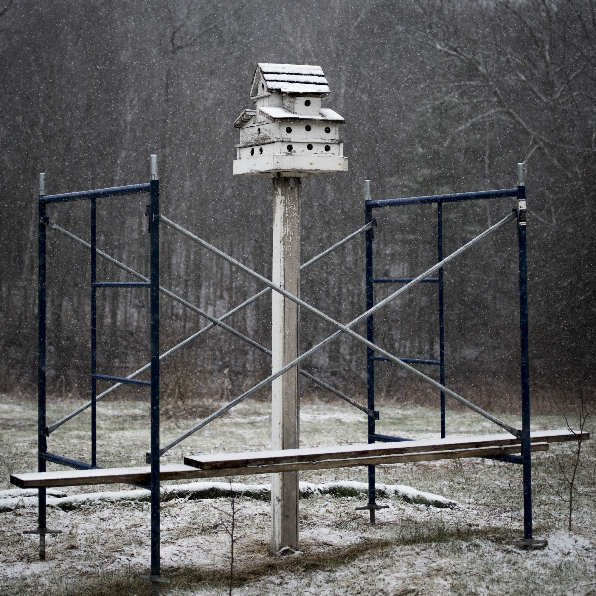 Cig Harvey, Birdhouse, 2016