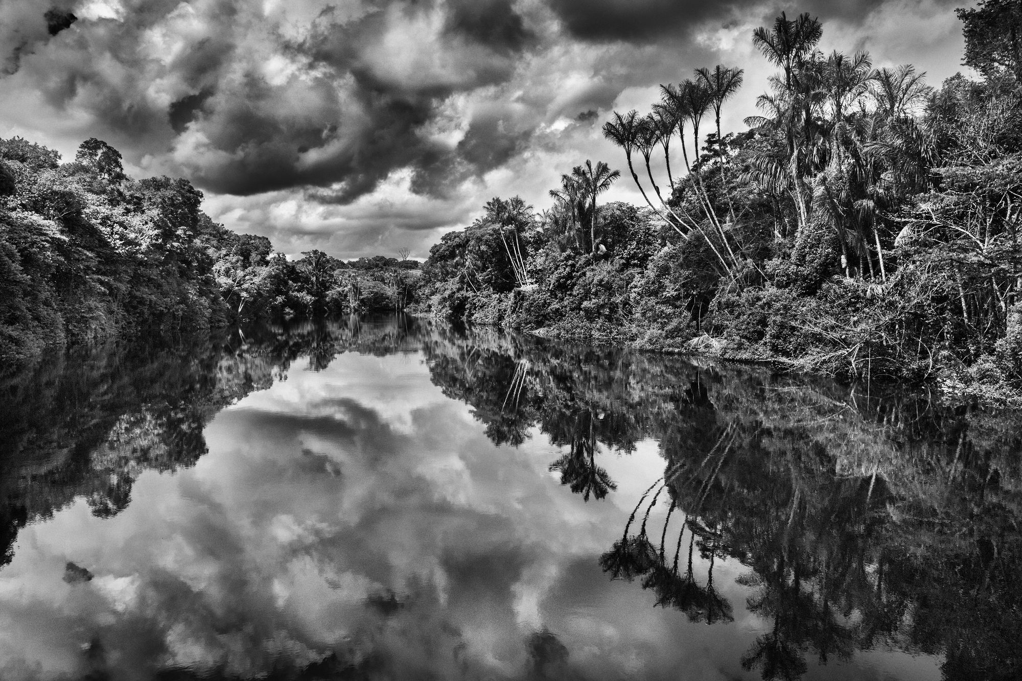 Sebastião Salgado, Jaú River, Jaú National Park, State of Amazonas, Brazil, 2019