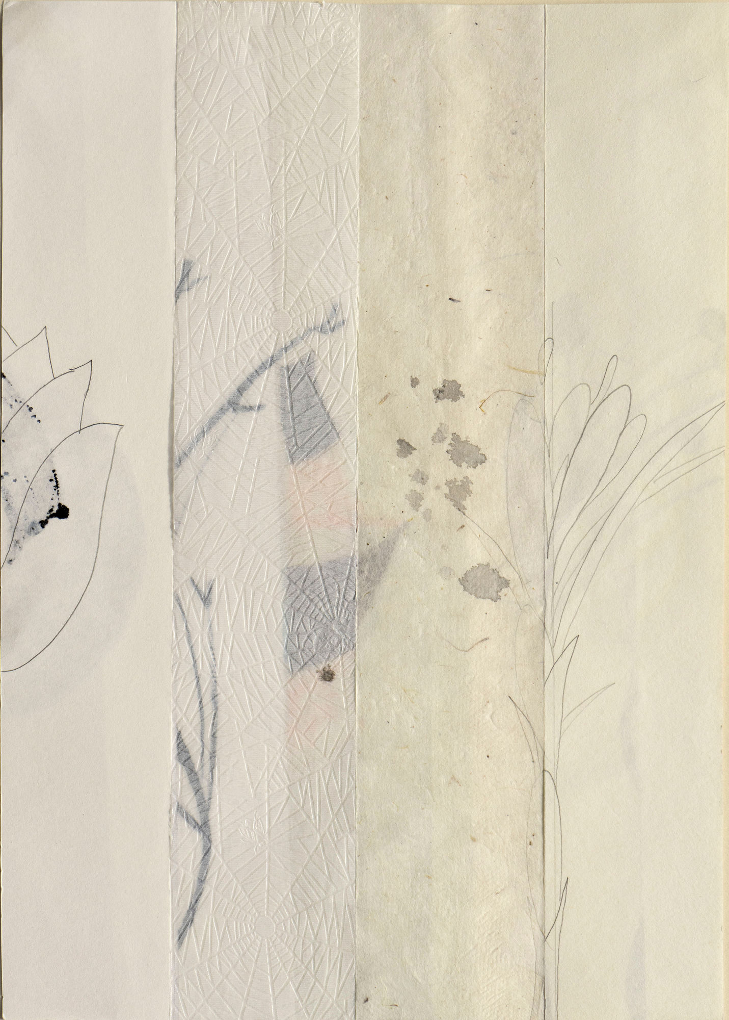 Mireille Gros, Season: Fictional Plant 22, 2020