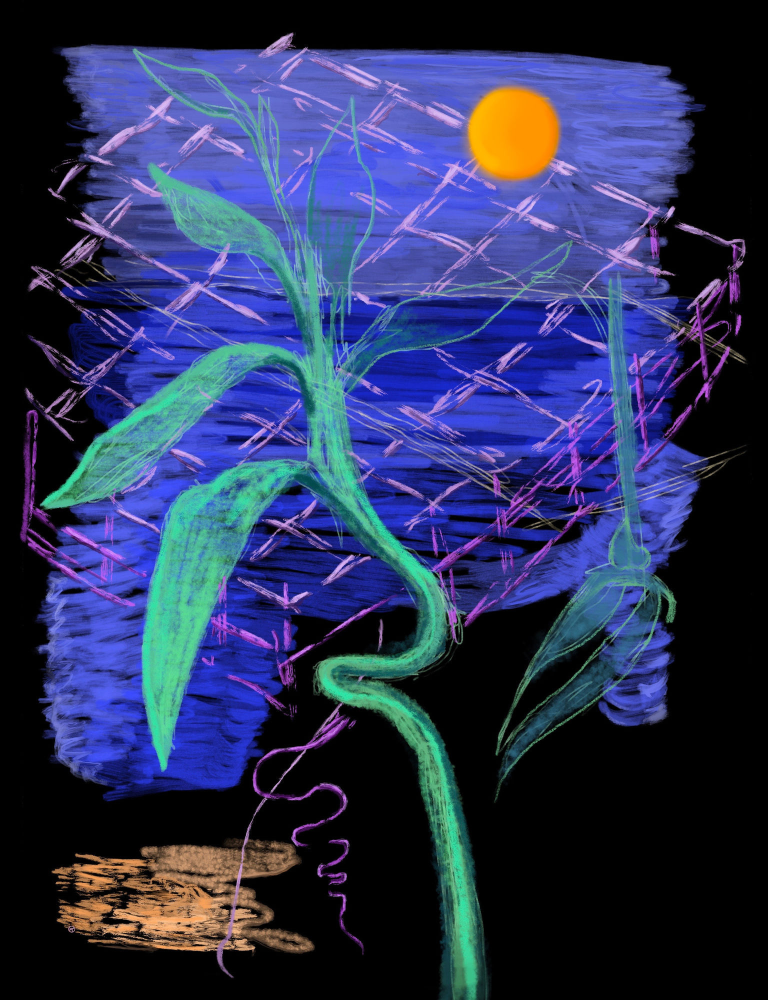 Aylar Dastgiri, Move Your Eyes, You Are Not Fixed, 2018