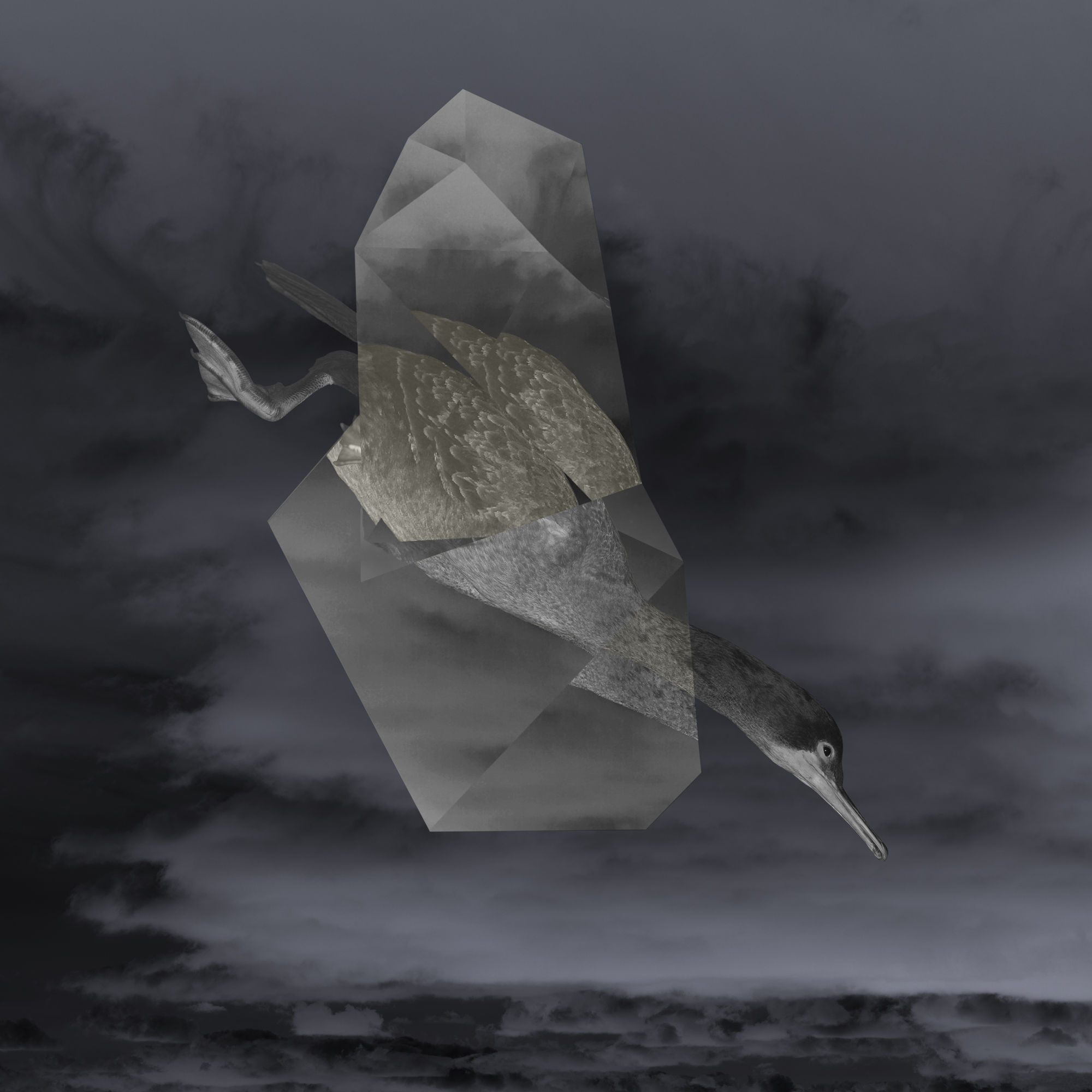 Wendy McMurdo RSA, Nature Study (Cormorant), 2021