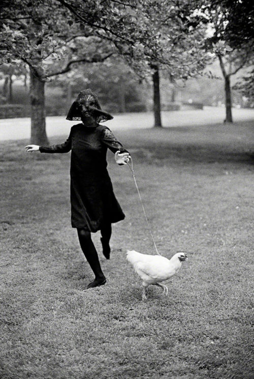 Jerry Schatzberg, Chicken, 1964