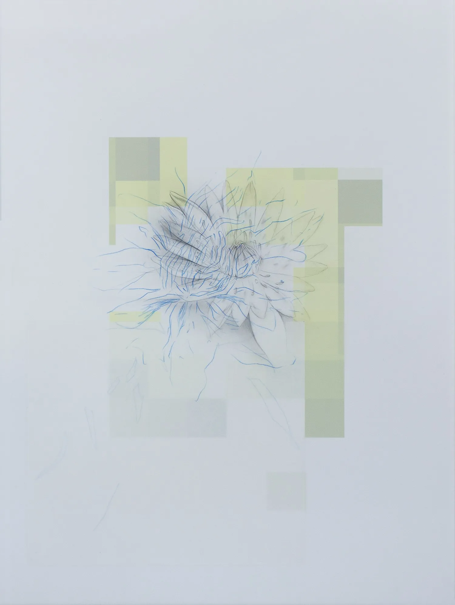 Javier Peláez, Flores Fantasma #1, 2023