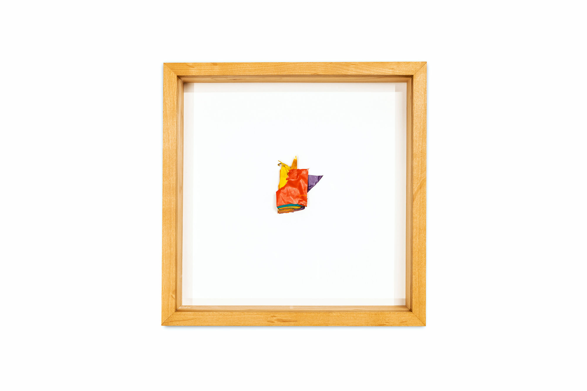 Haruna Shinagawa, Specimen #11, 2023