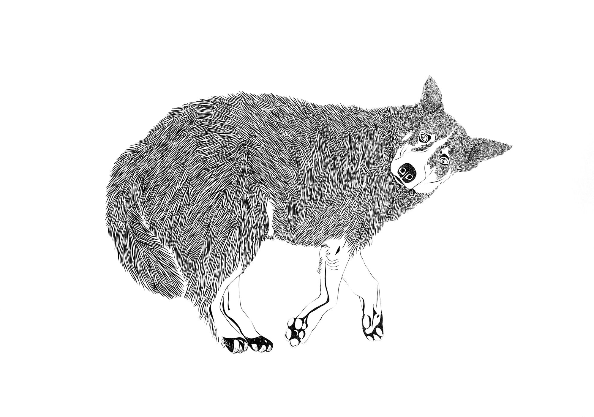 Çağla Köseoğulları, İsimsiz 40 | Untitled 40, 2013