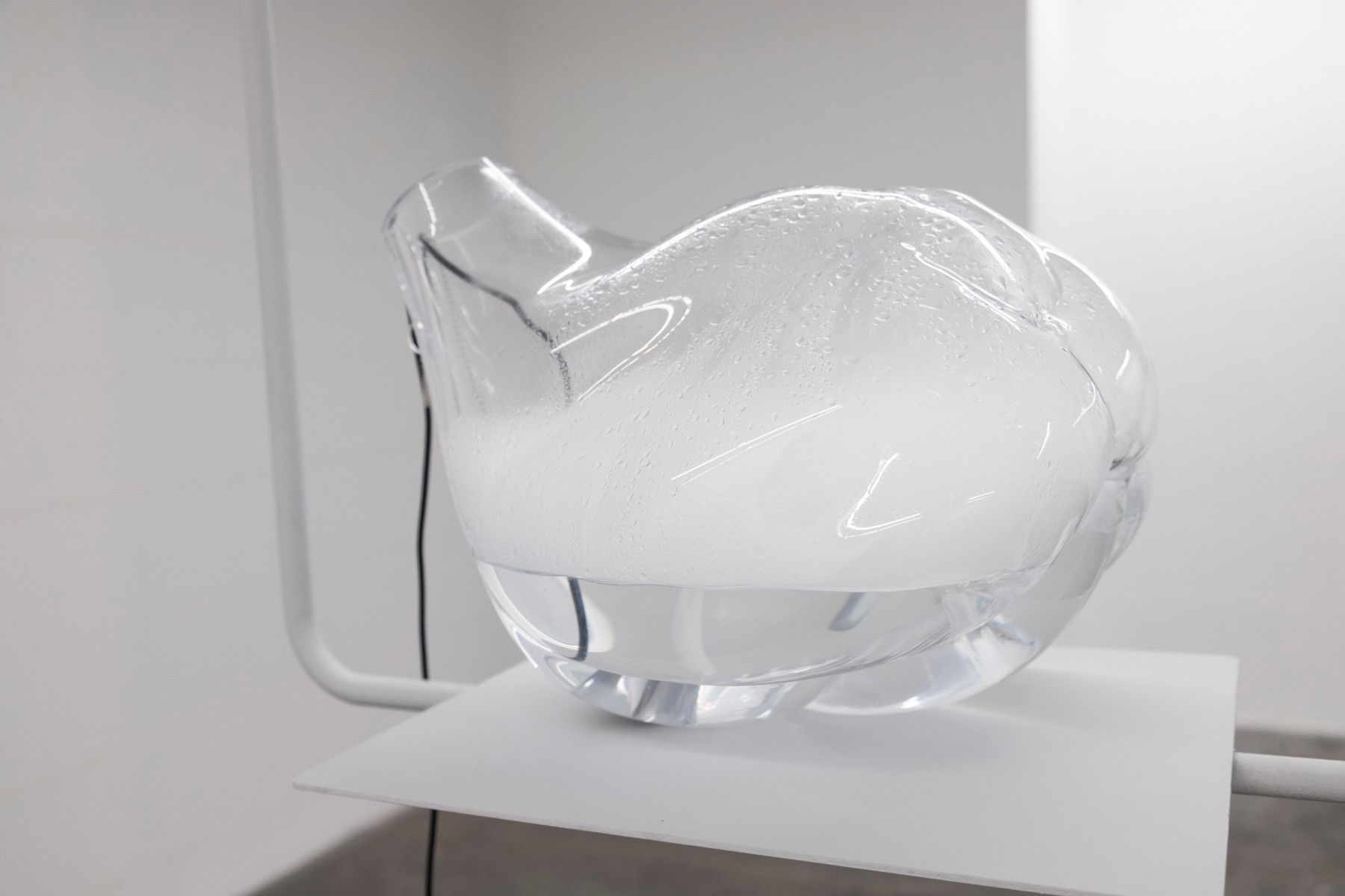 Christiane Pescheck, Transition 1, 2022