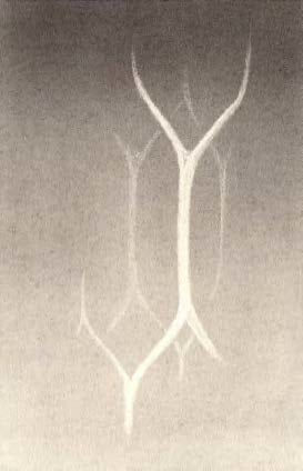 Yunus Emre Erdoğan, İsimsiz | Untitled, 2019