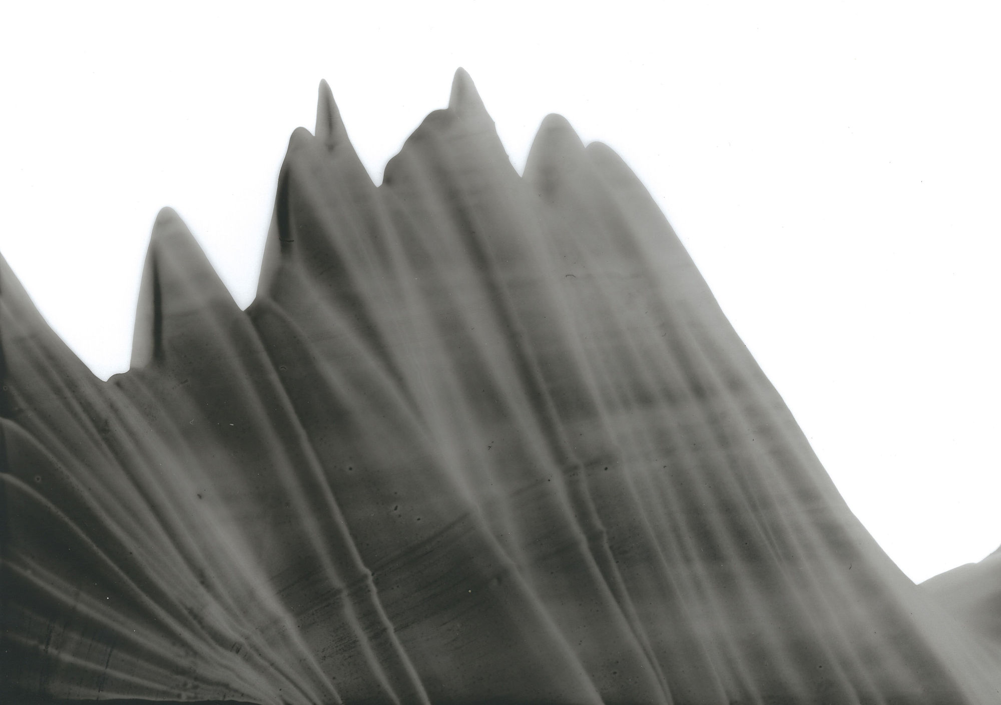 Çağla Köseoğulları, İsimsiz| Untitled, 2019