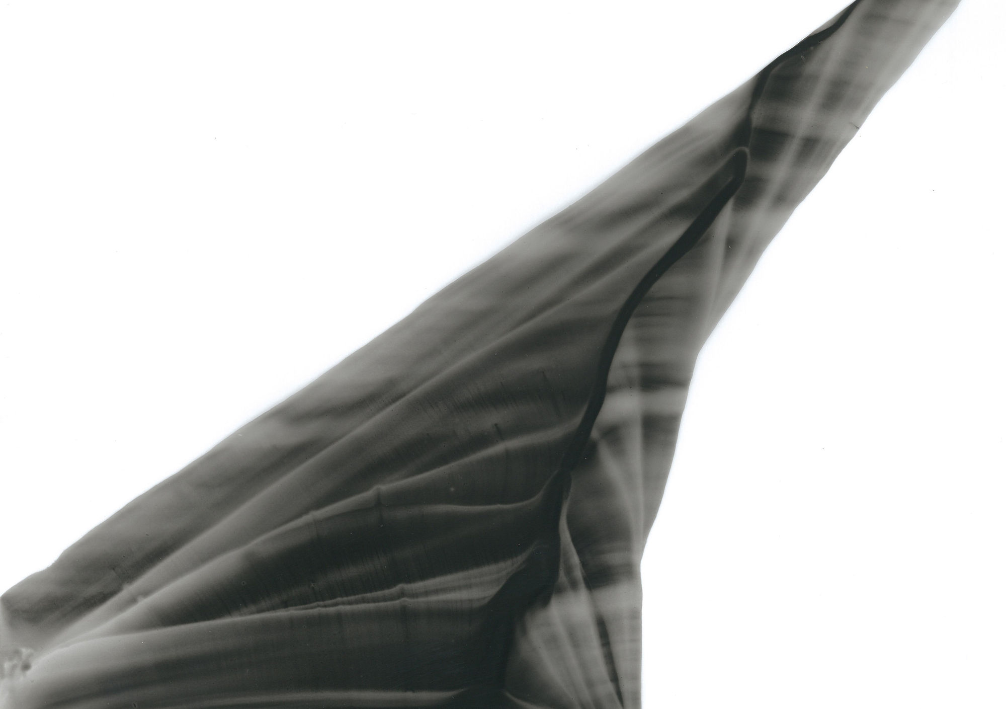 Çağla Köseoğulları, İsimsiz| Untitled, 2019