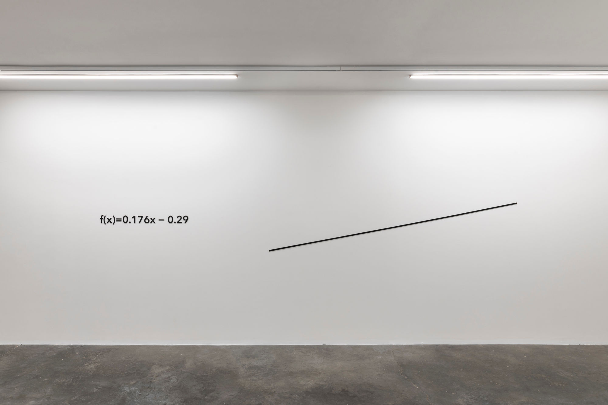 Sergen Şehitoğlu, 'f(x): 0.176x - 0.29'', 2020