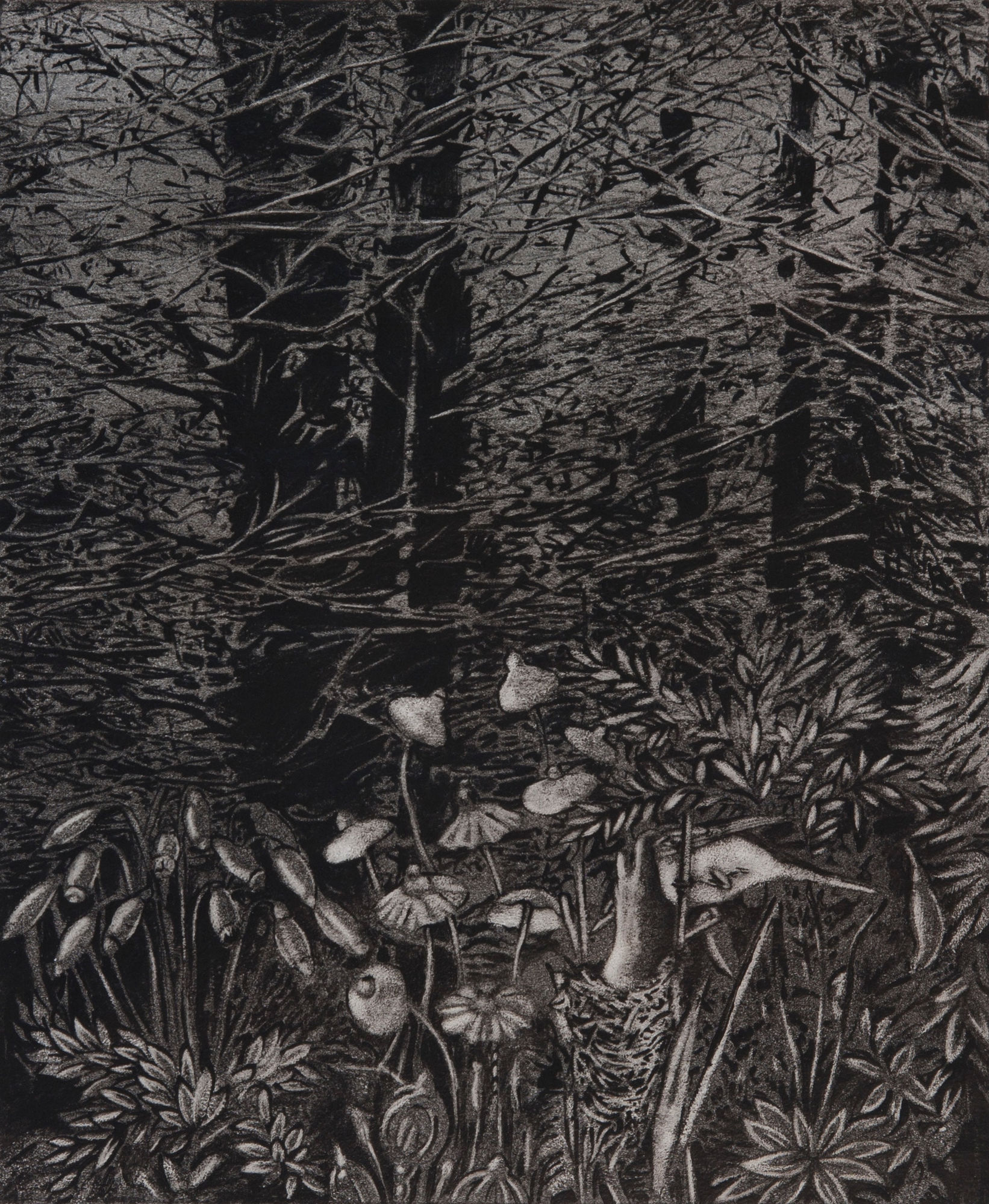 Erol Eskici, Nostomania No 7, 2014